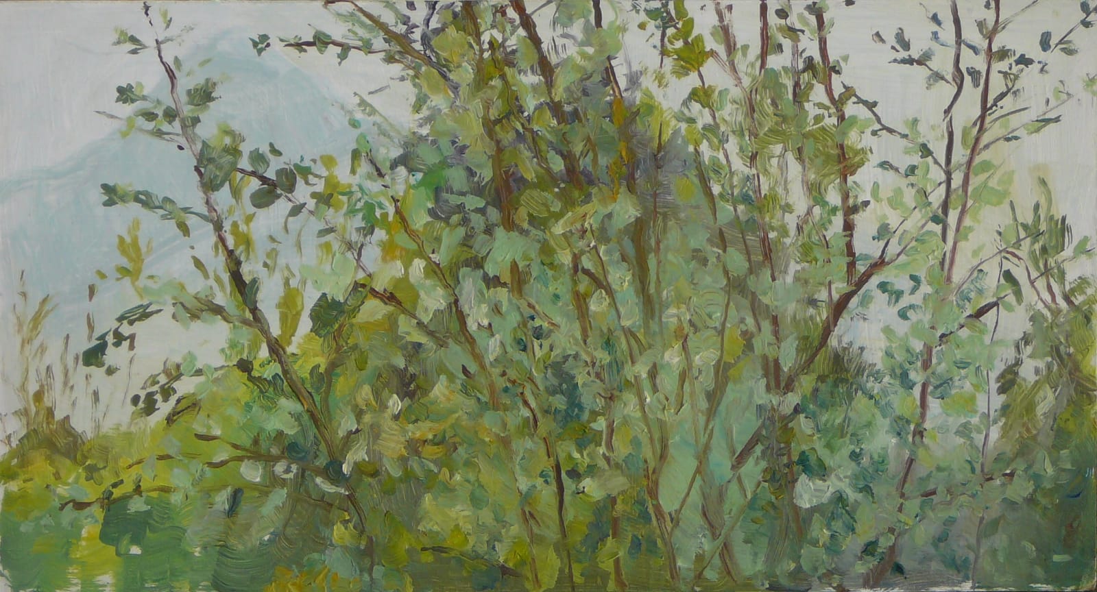 Quillay - 18x33 cm - óleo sobre tabla