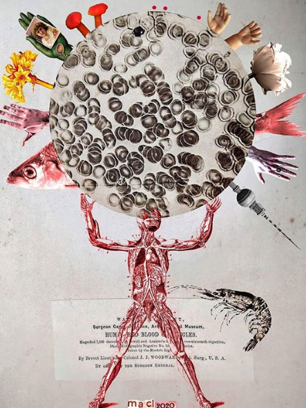 Maria Anna Ciemerych