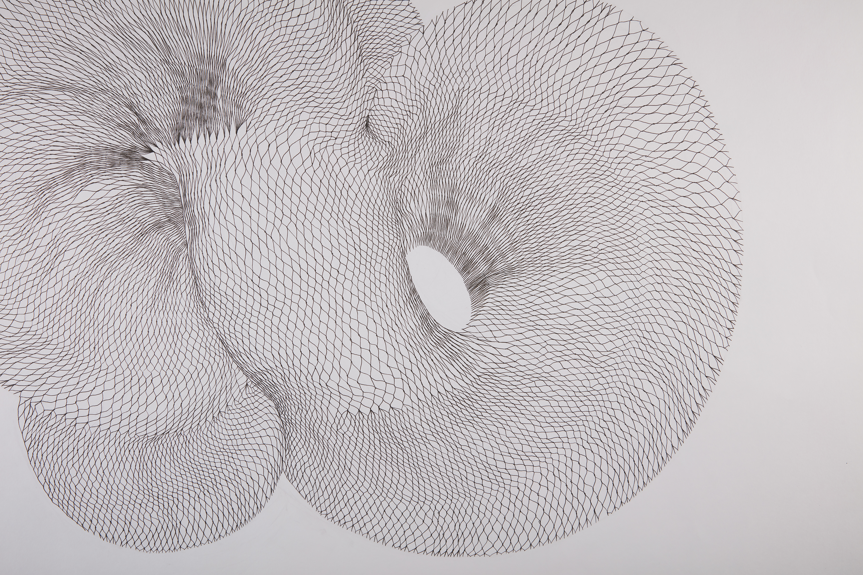 Possible Form 01 (detail)Drawing in archival pen on acid free edition paper 270gsm| 100cm x 80cm | 2018