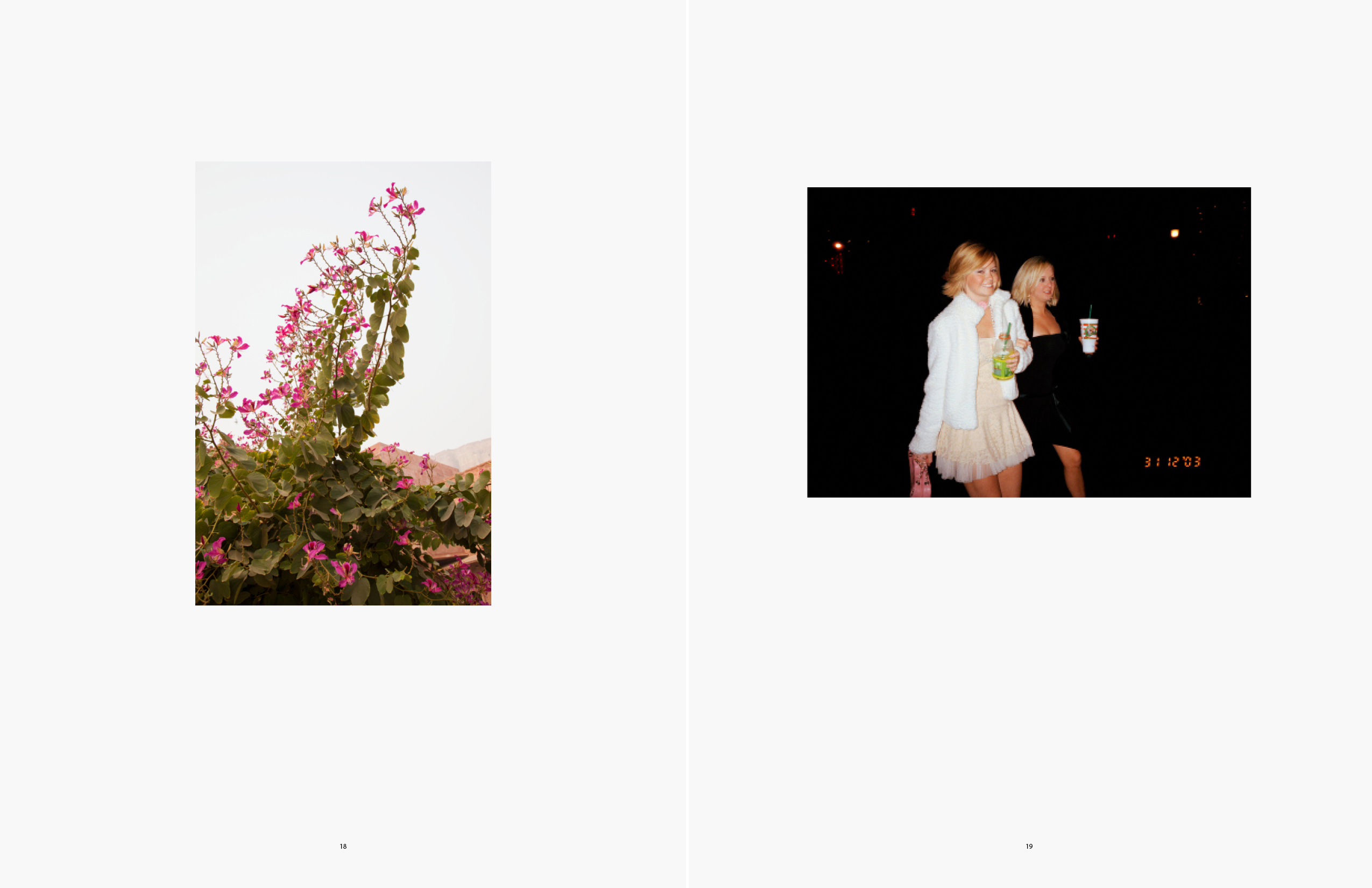 Bougainvillea, India; Las Vagas Strip