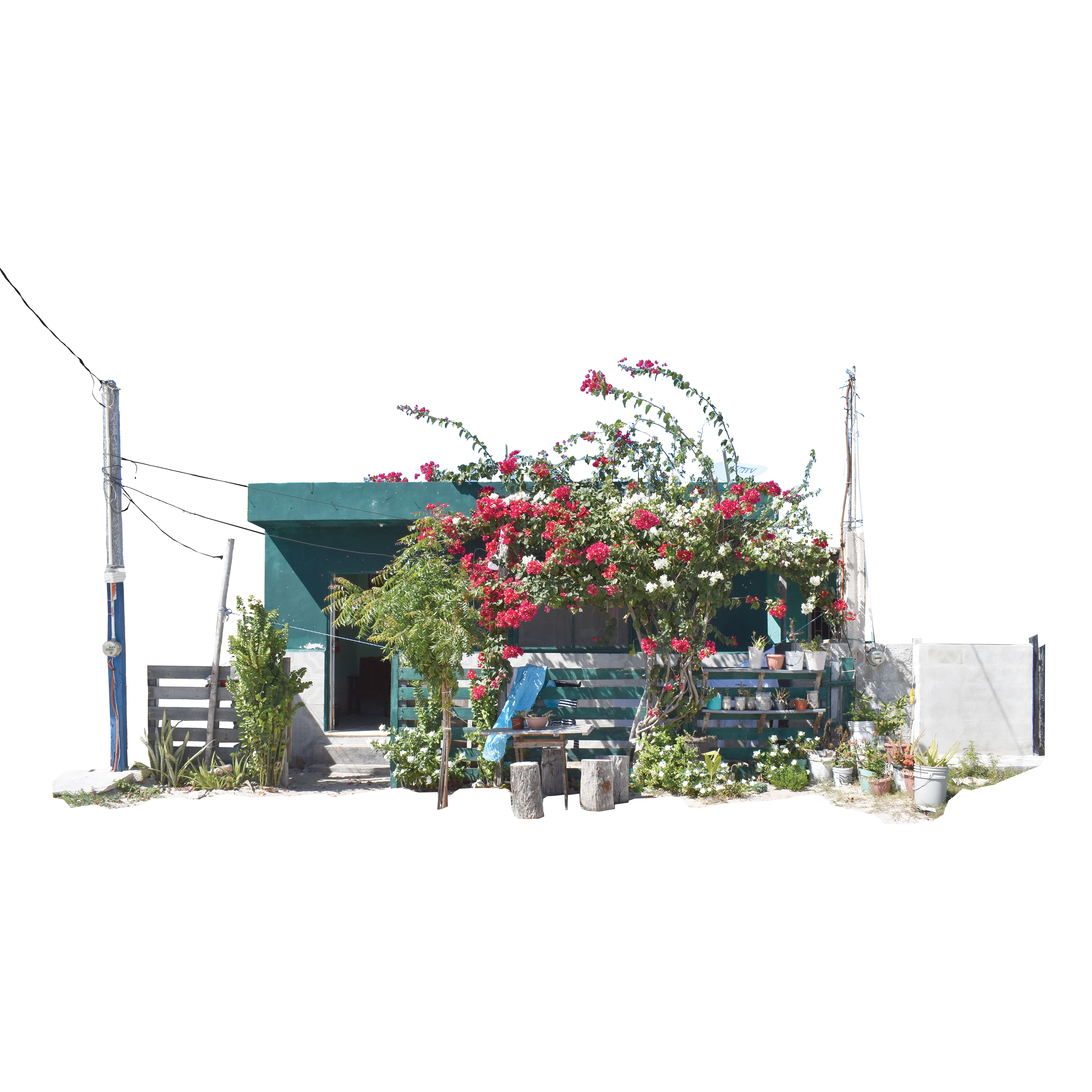 #051_ Las Coloradas,Yucatán