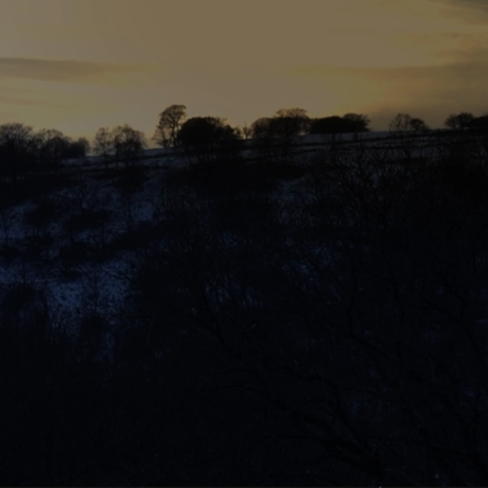 Evenfall (2015), Directed by Scott Barley