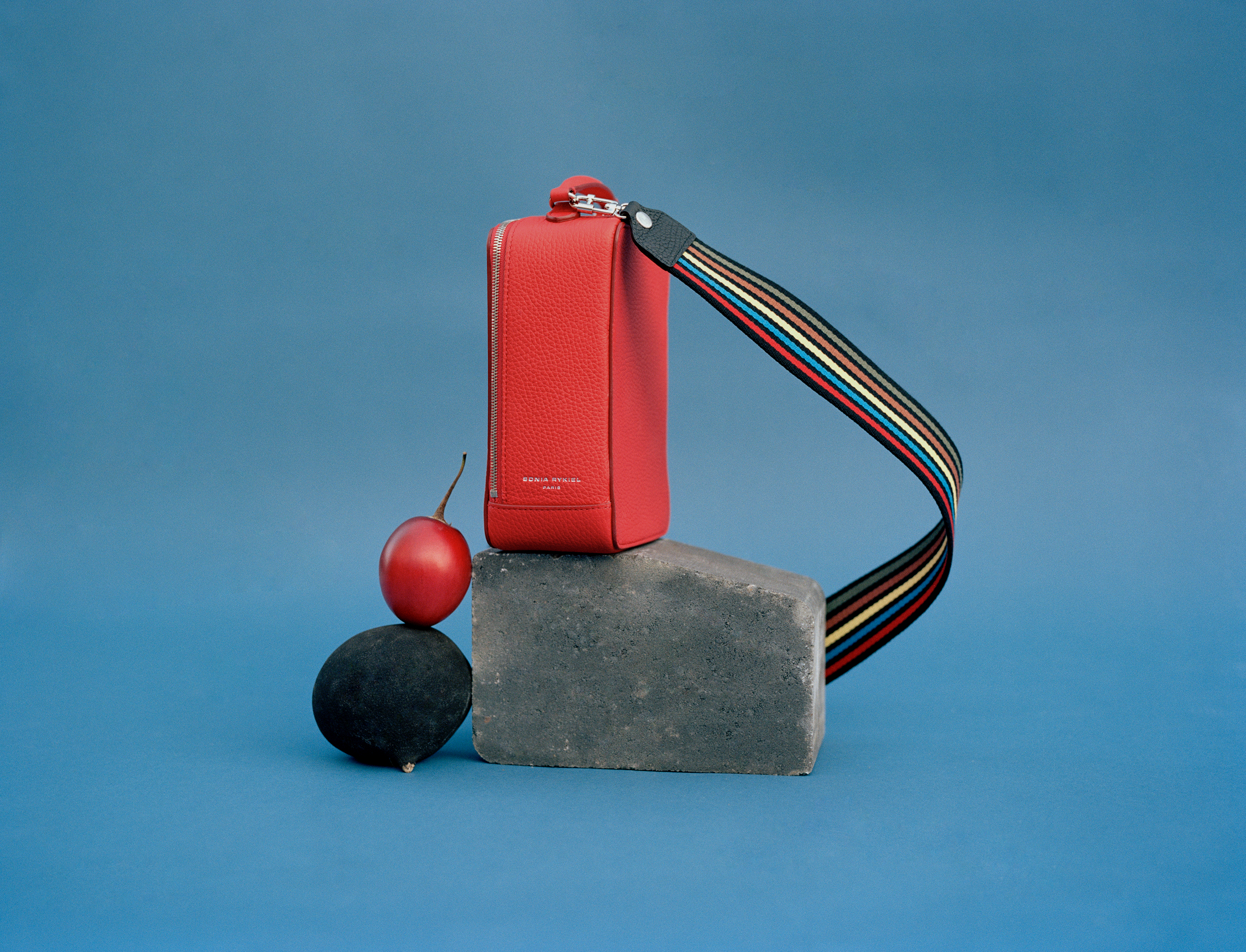 Pavé Parisien - Sonia Rykiel. (1/3)