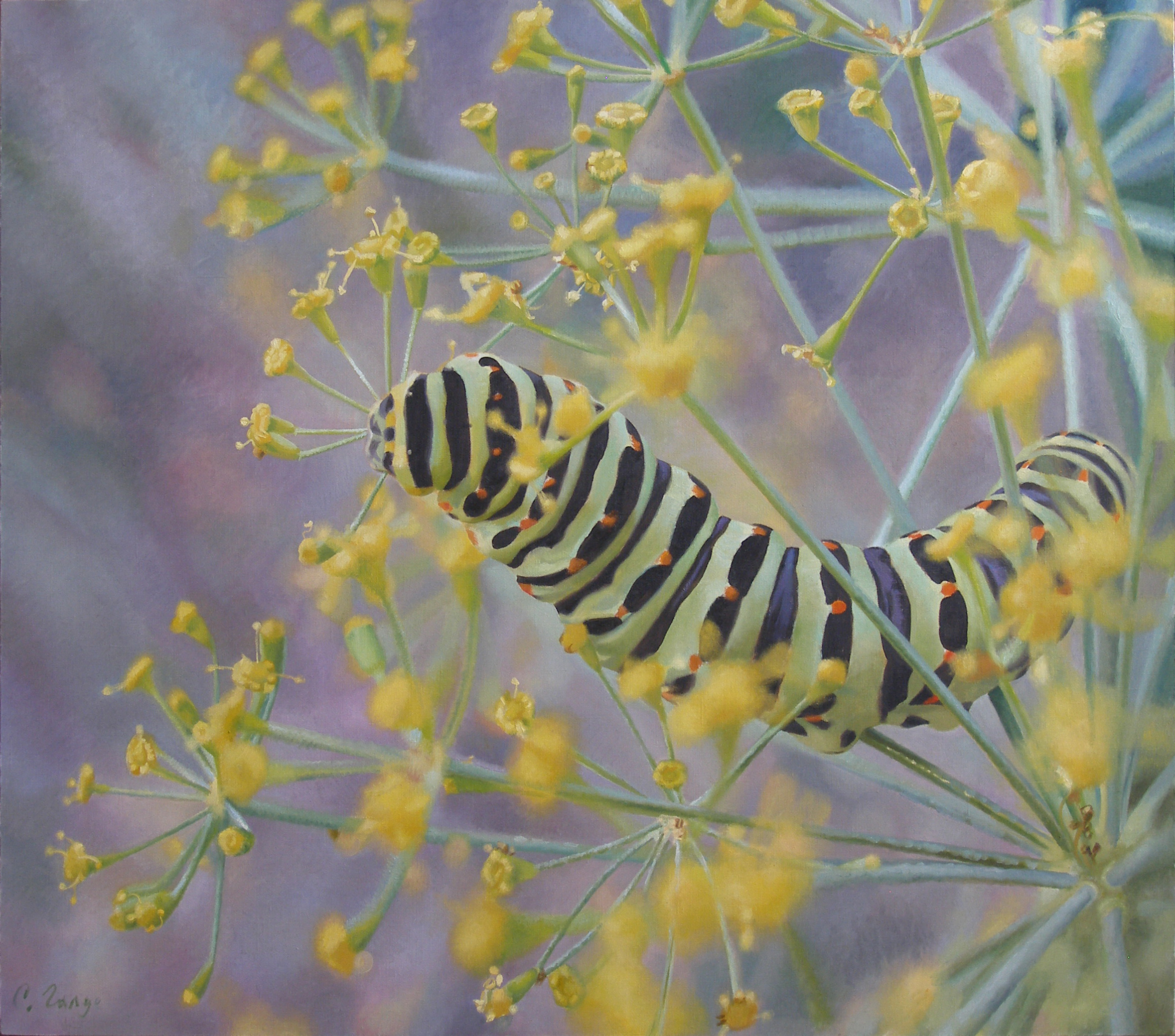 Papilio machaon, 2013, oil on canvas, 115 x 130 cm