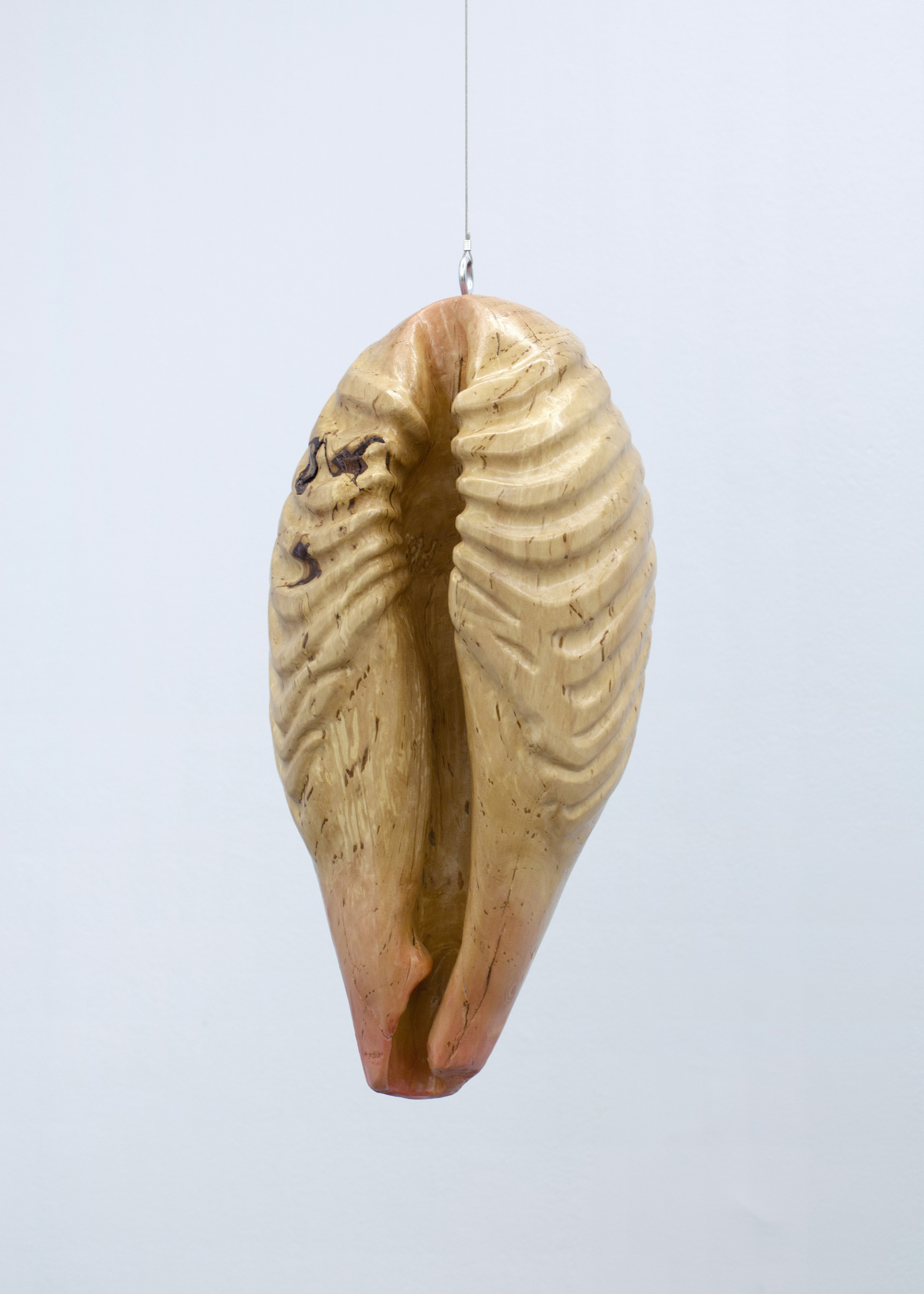 Between the sky and the heart, 2025. Birch, stain and varnish.