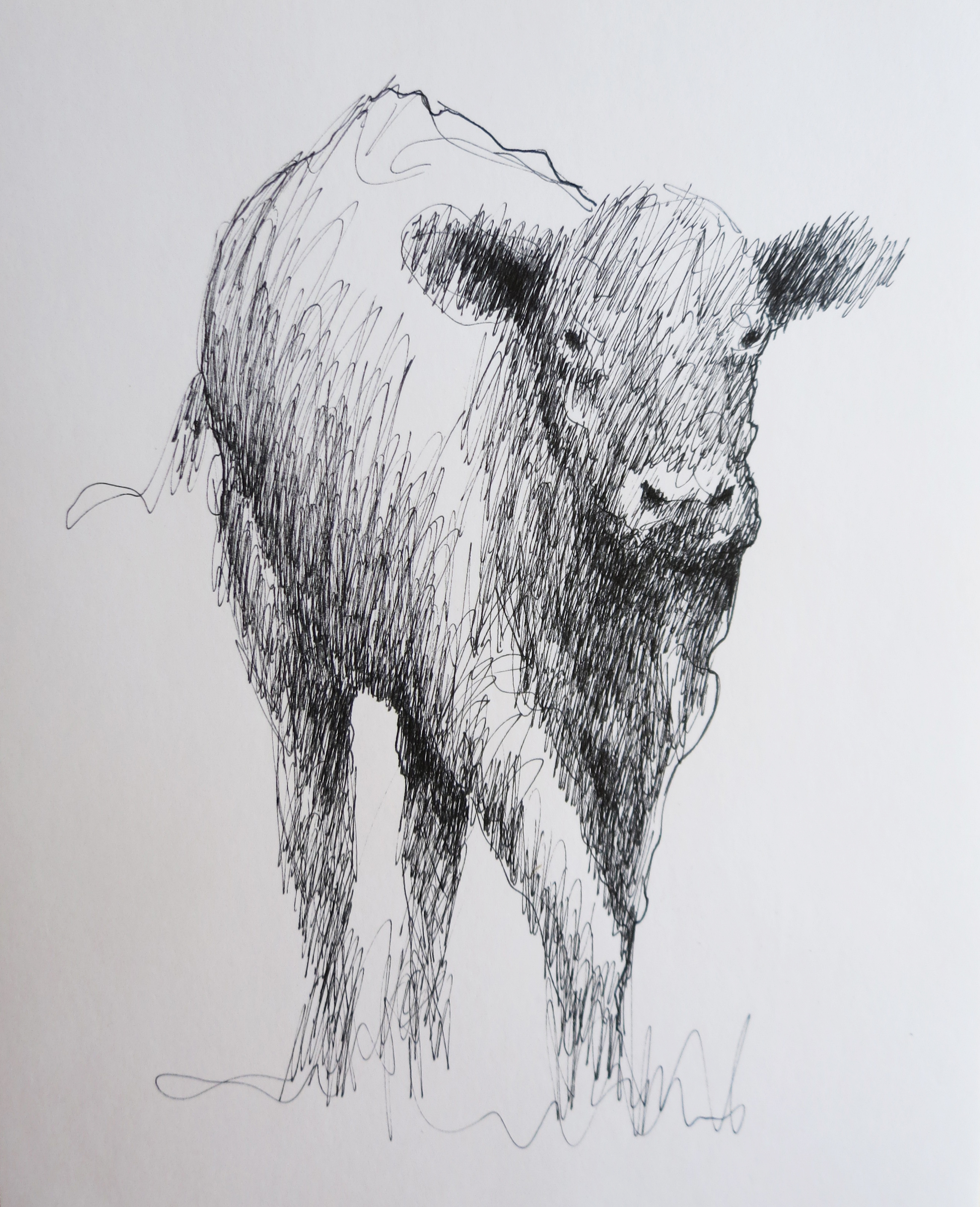  Ink on paper &ndash; 11&rdquo; x 8&rdquo; 