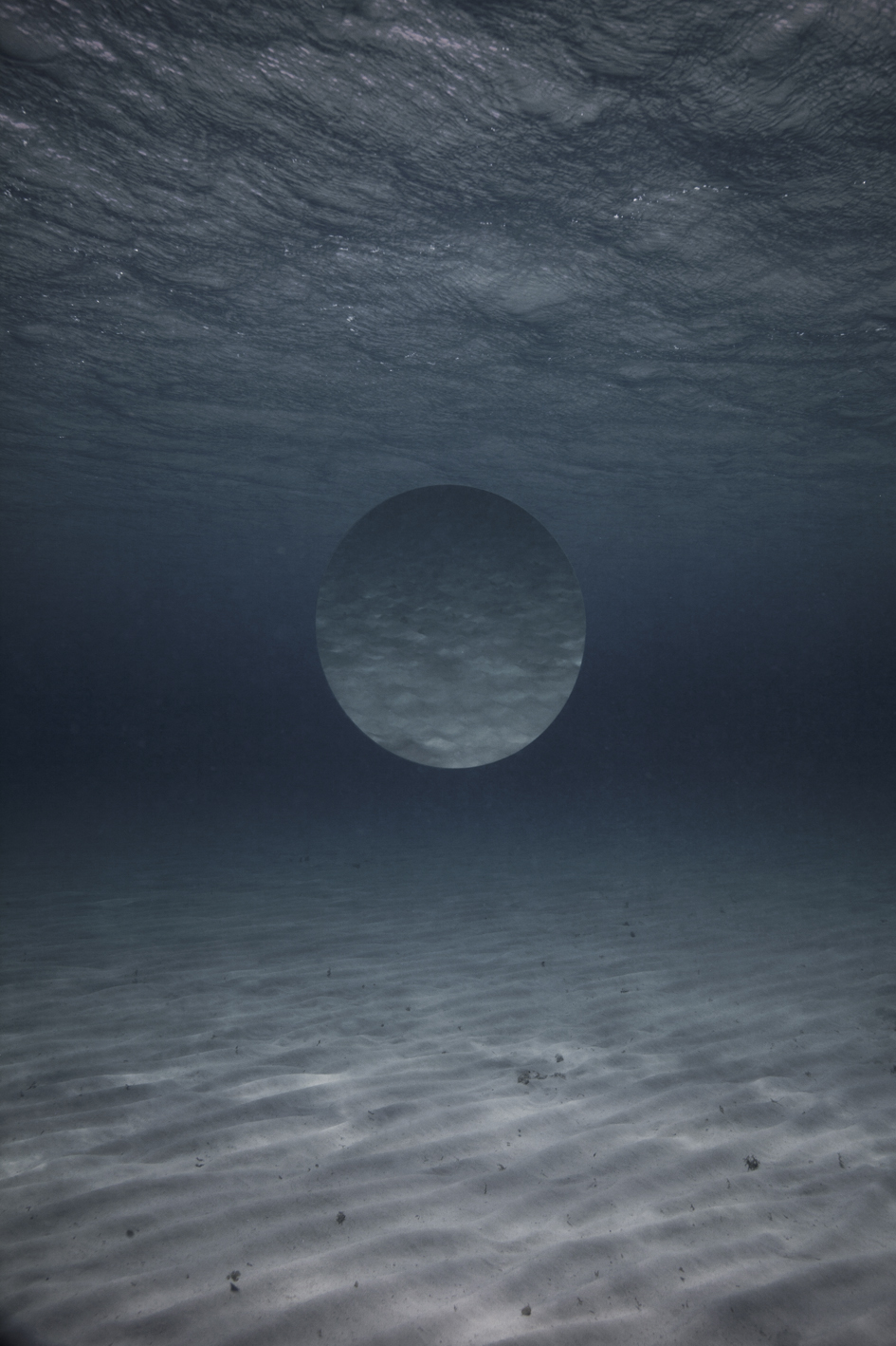 Reflection, Elspeth Diederix for SWS