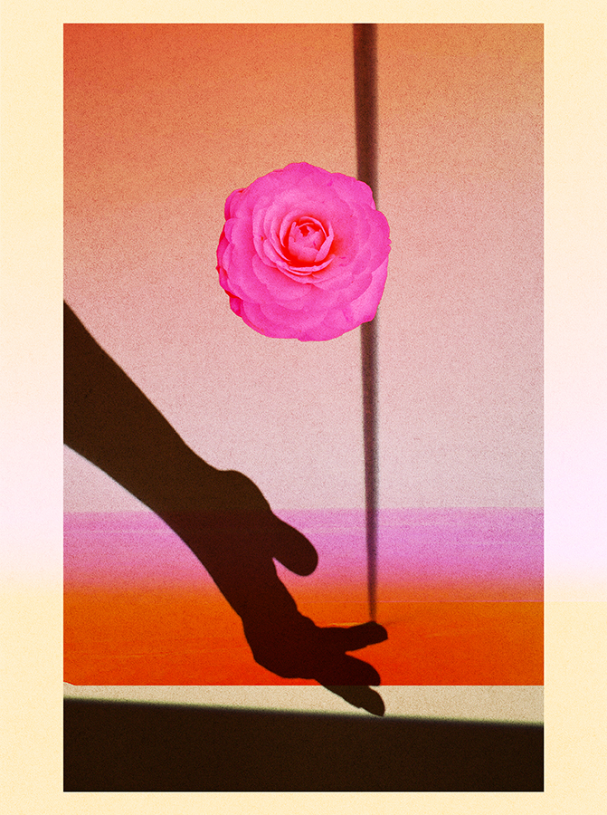 273. california sunset 23.03.25