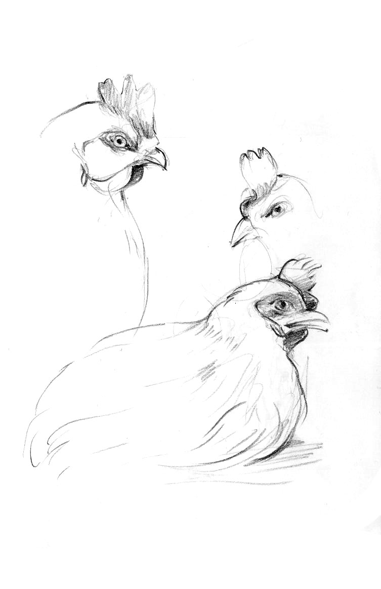 Animals from the farm