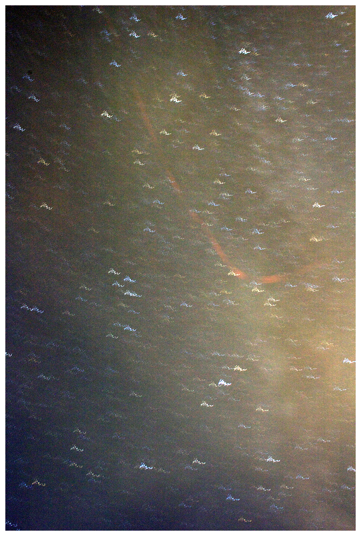 She Relaxed, Floating Gently in the Water, 2012DSLR image16.417 x 24.625 in.41.7 x 62.55 cm