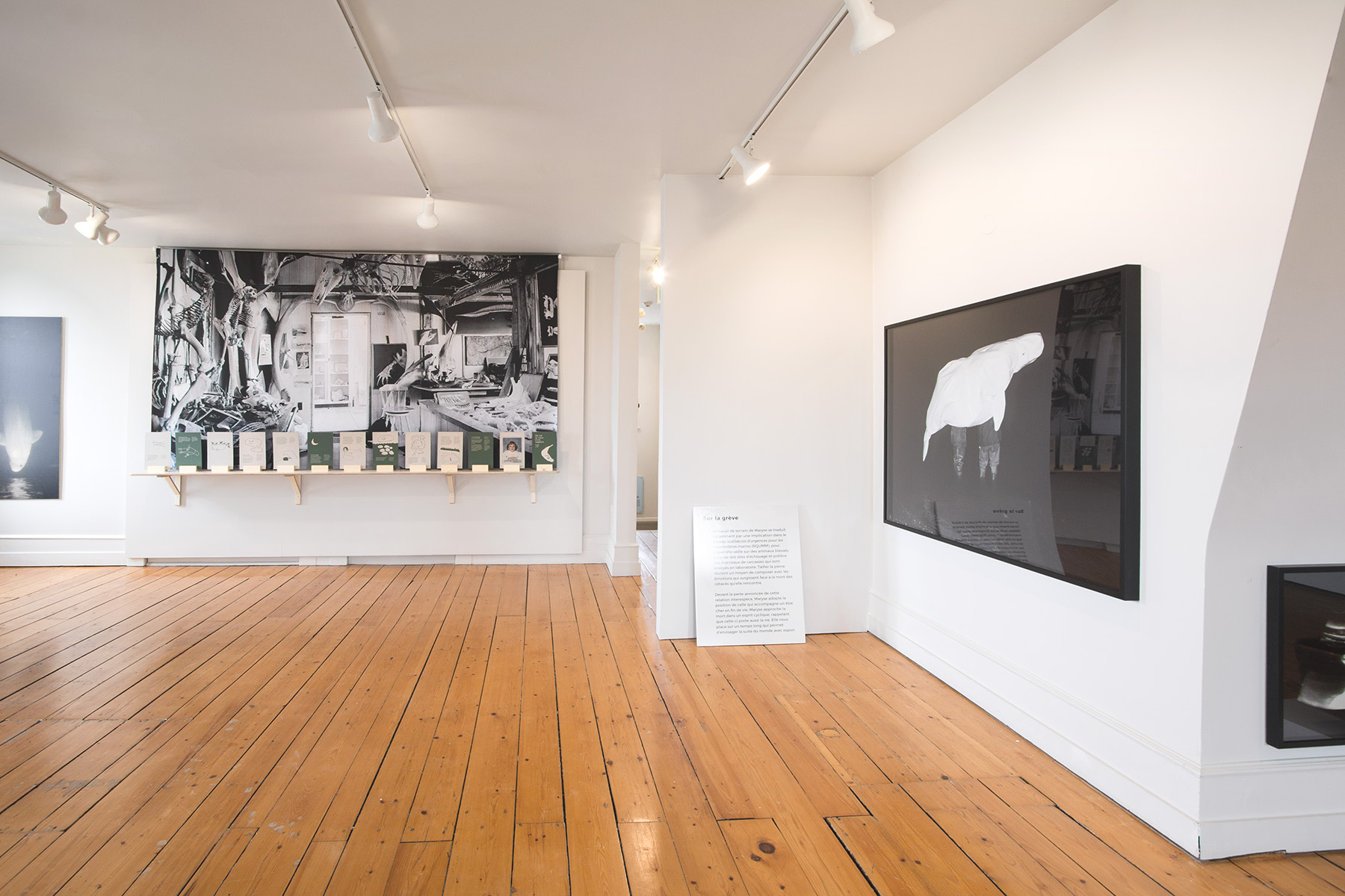 Photo : Caroline Bolieu, 2025. Courtoisie du Centre d'art de Kamouraska