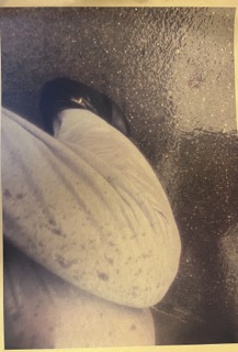 Mimi's Exhibition, 2022. Own image.