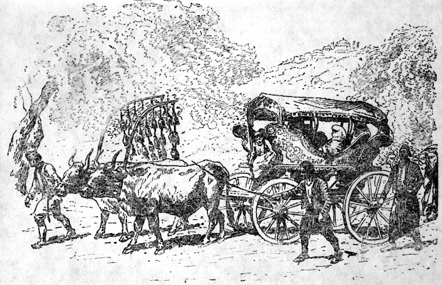 Figure 33 - Göksu oxcart.