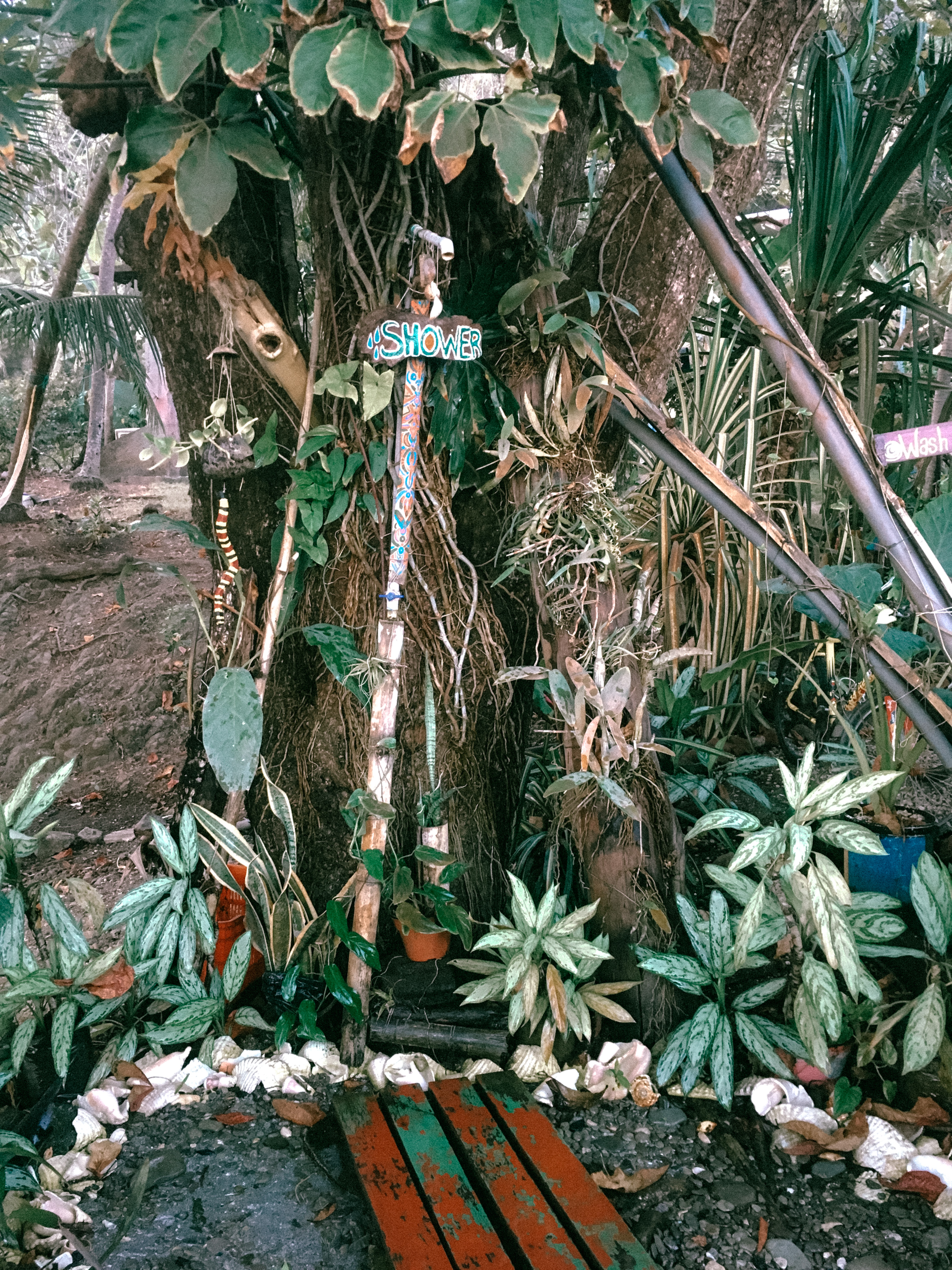 Outside shower Luminosa Montezuma Hostel