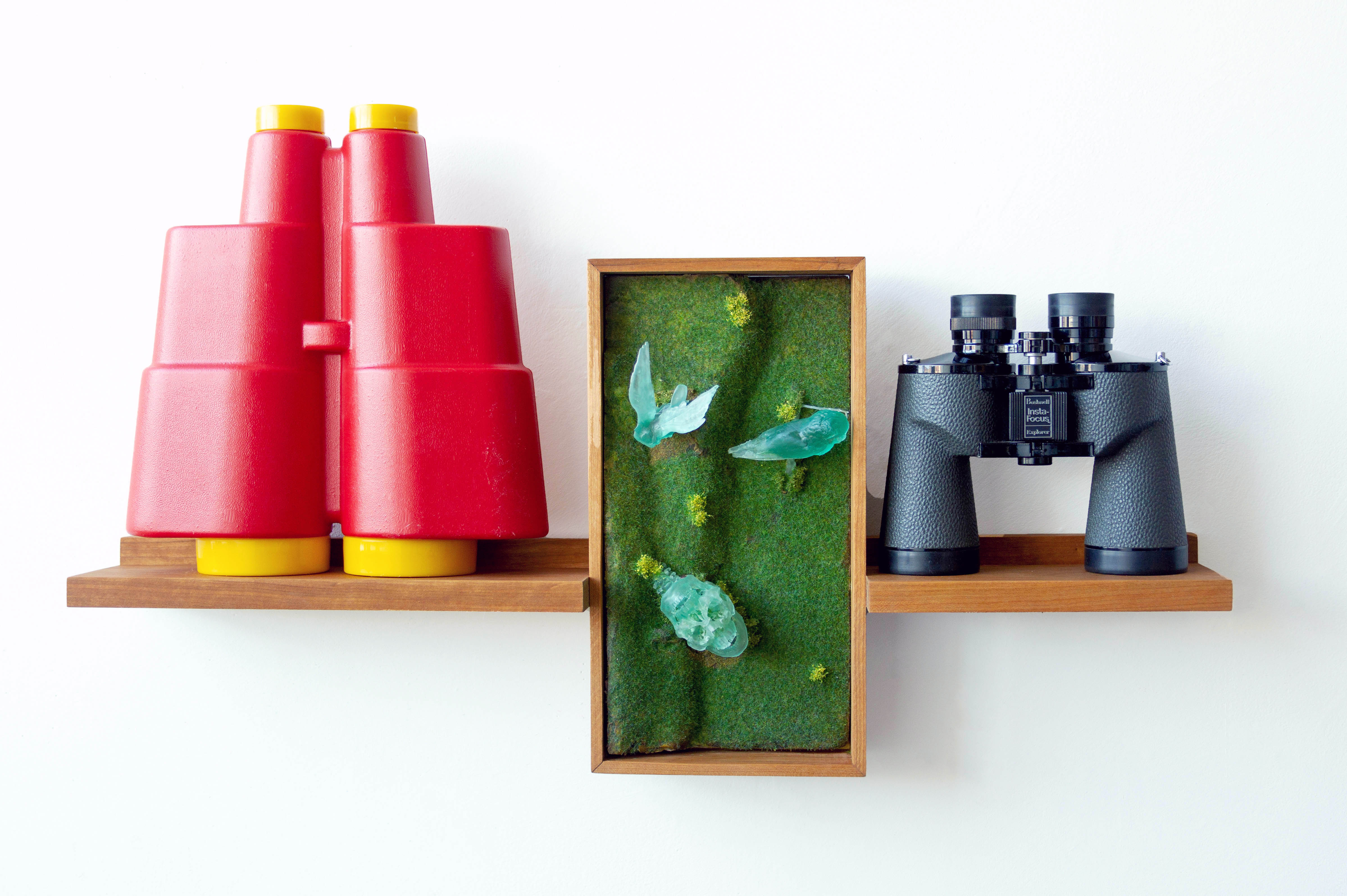 A Quite Positive Task Reserved for Ornithologists, 2022, 15" x 28" x 4.5". Wood, polystyrene foam, photopolymer resin, plastic, danish oil, toy binoculars, binoculars