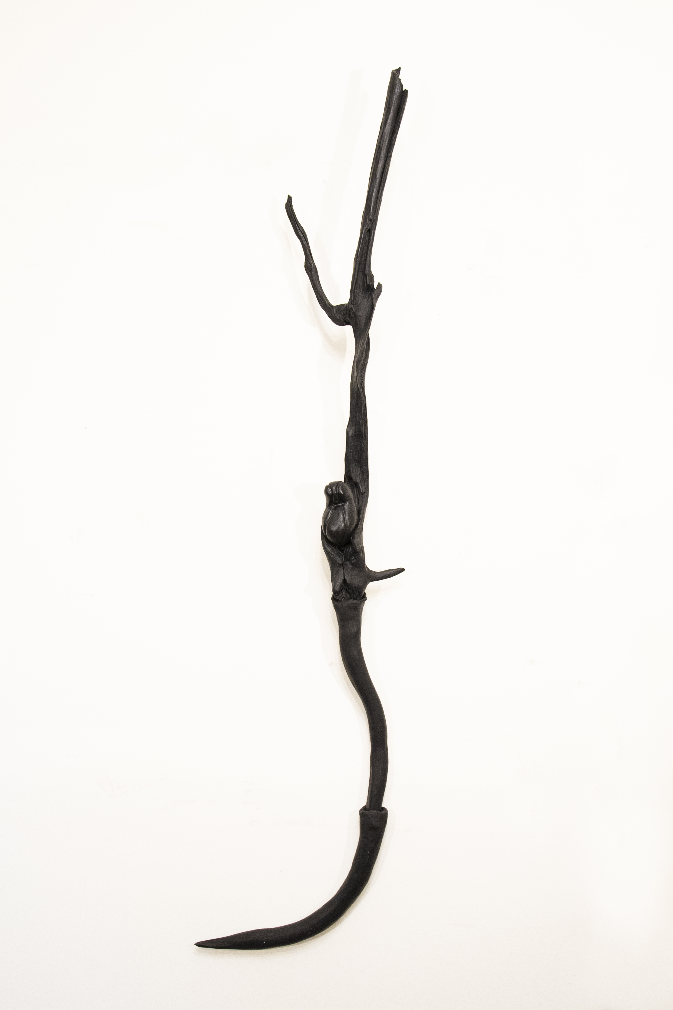 Amalgamation no.1, 2024