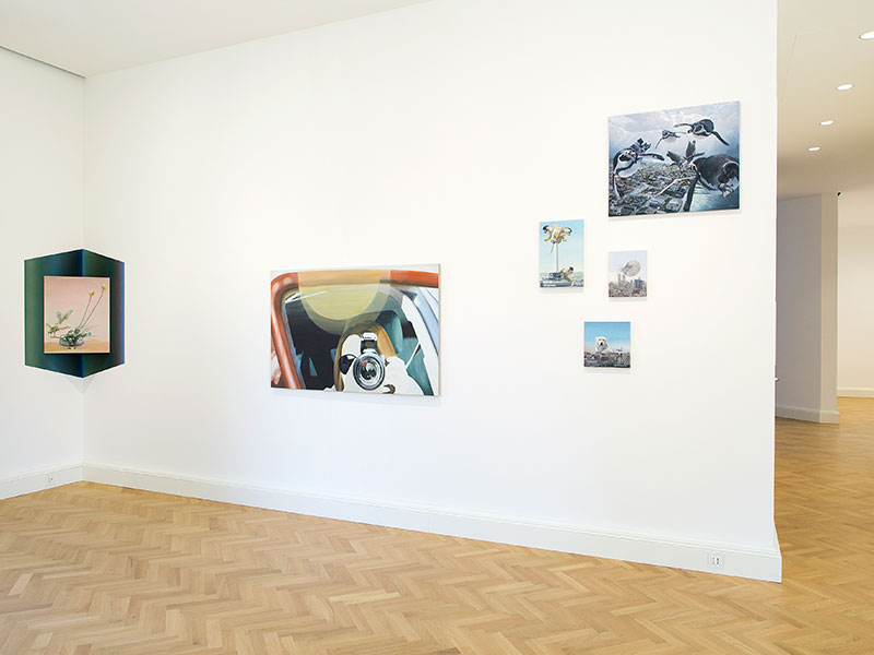 Picture Perfect 27th May - 31st July 2015