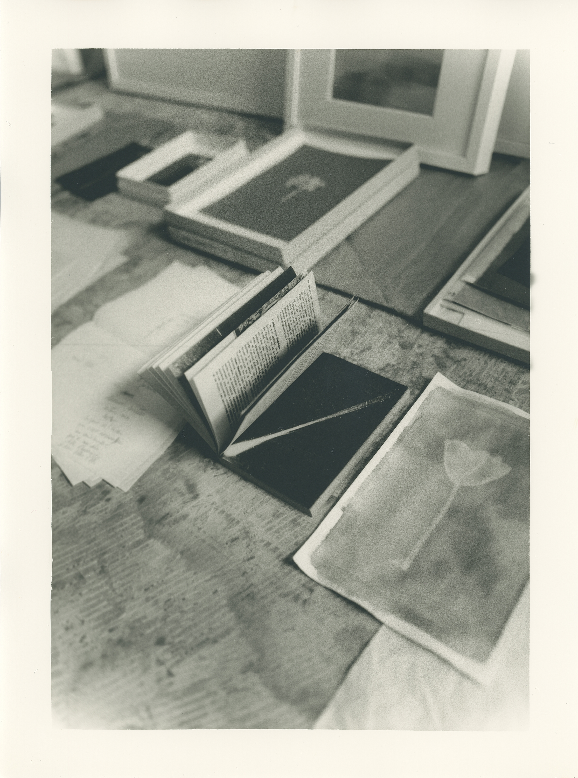 Camille Vignaud, artist - 2023