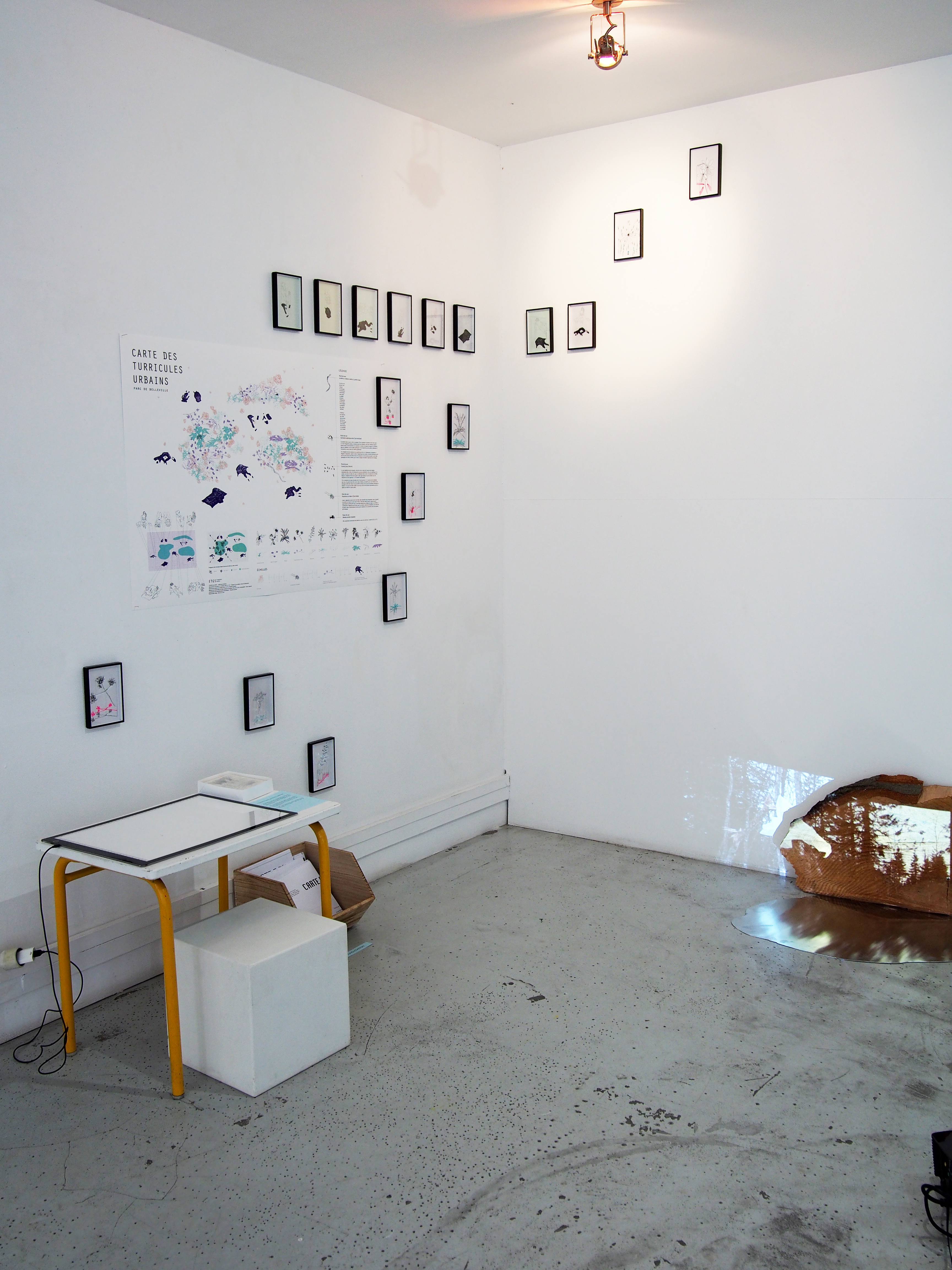 Elena Tognoli et Giacomo Sartori - Motte lumineuse - 2022 / Elena Tognoli et Giacomo Sartori - Cartographies sensibles du Parc de Belleville - 2022 /  Taylor Alaina Liebenstein Smith et Christopher Alexander Kostritsky Gellert - A clear cut (we are unmade) - 2022 