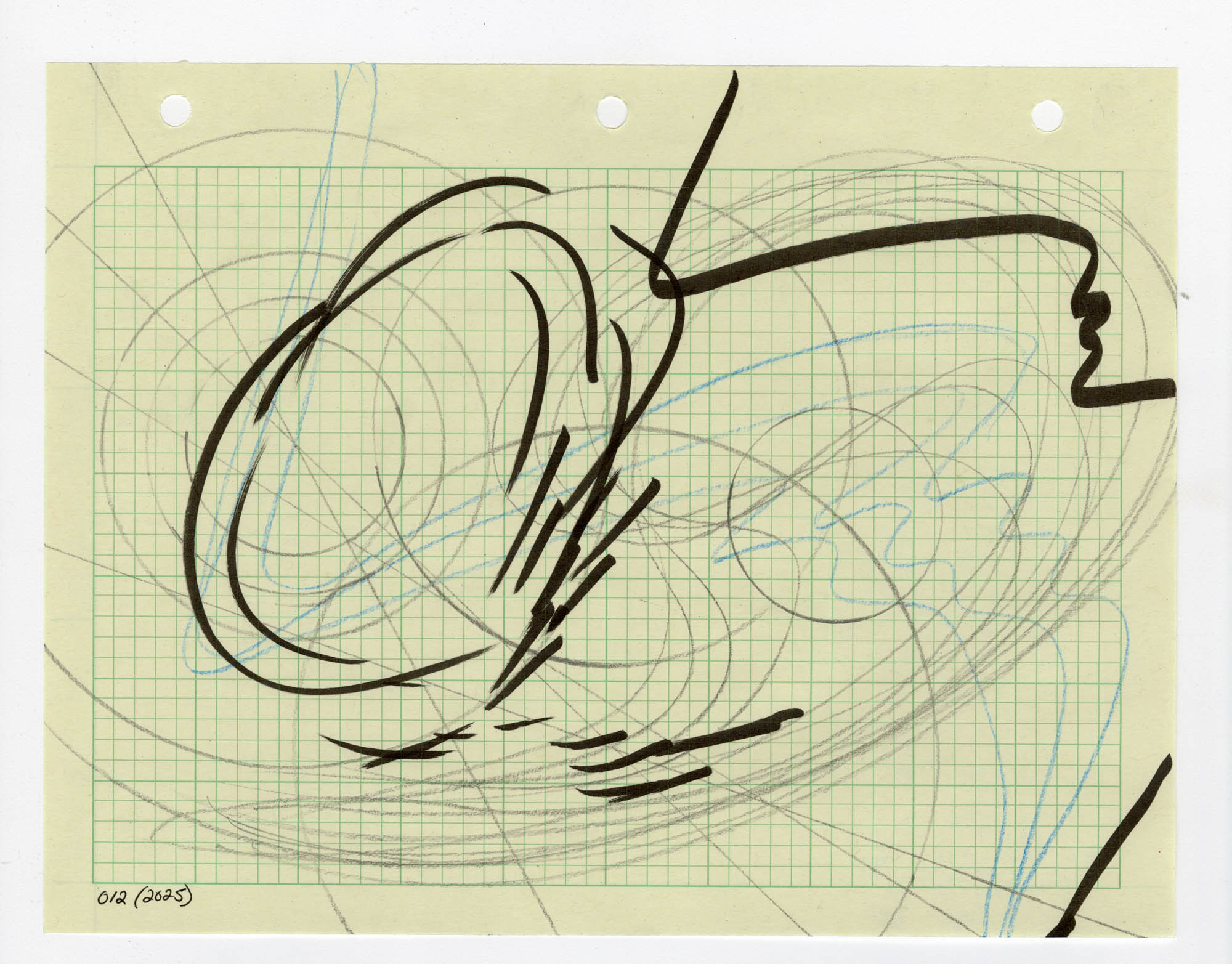 012. 2025. Graphite, colored pencil, and marker on graph paper. 11" by 8.5"