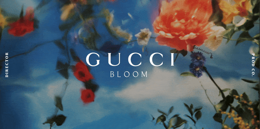 Gucci Bloom