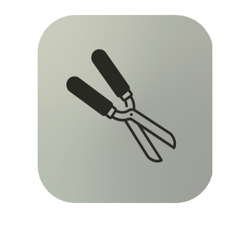 Clean cut and trimmed icon
