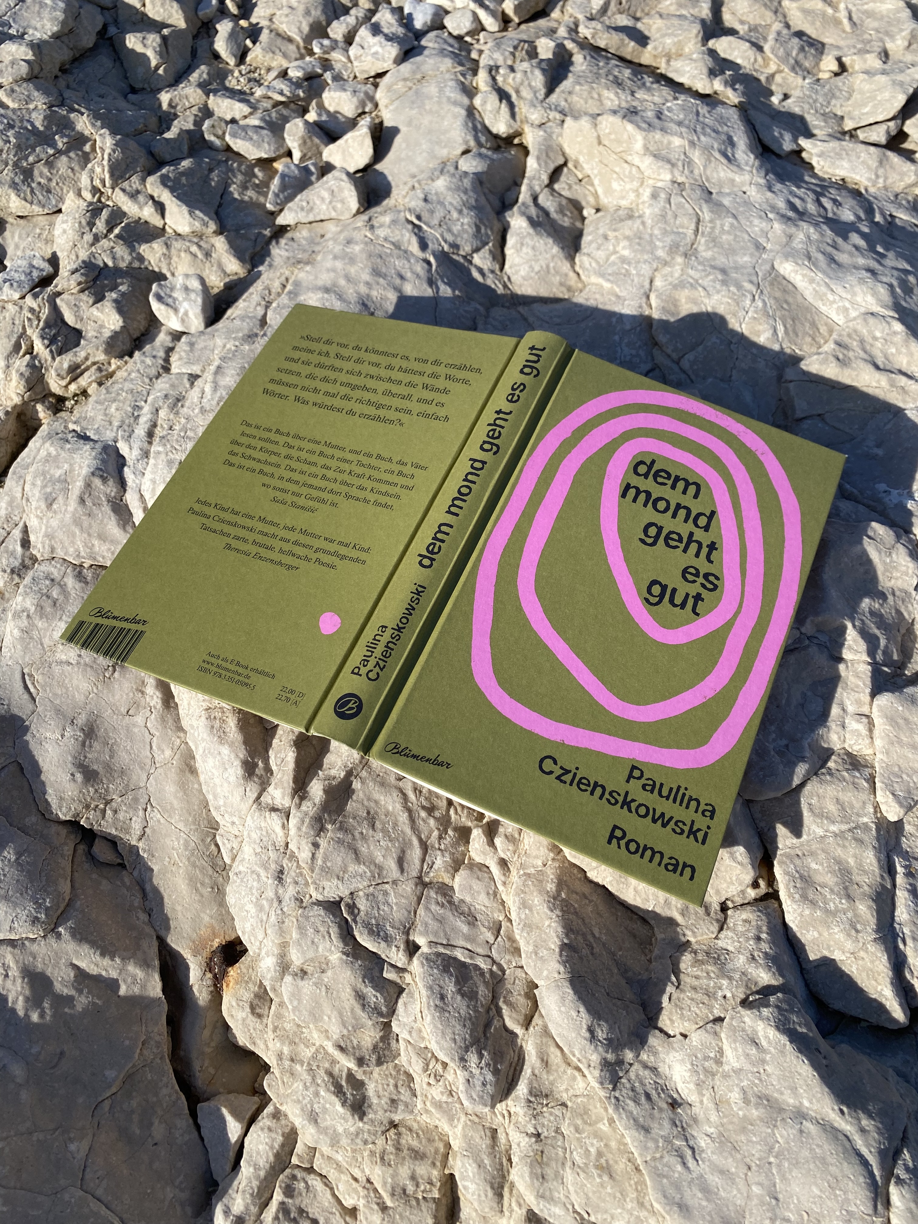 Book Cover Design for Paulina Czienskowski at Aufbau Verlag, 2024-25