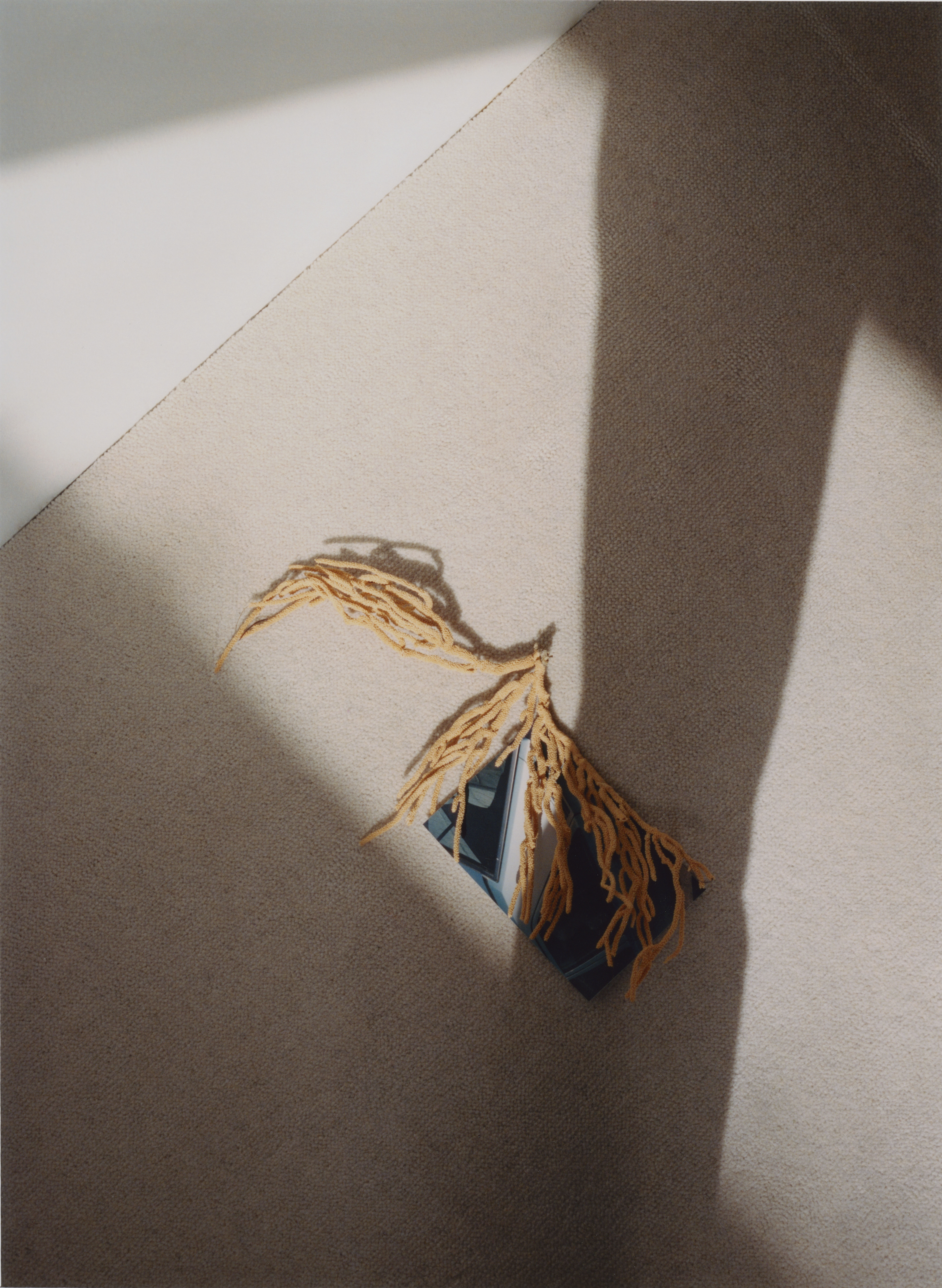 Notes on Space and Time - 01 Day. (2/6)