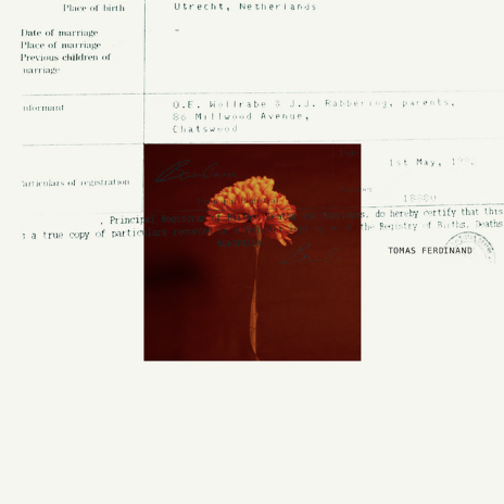  TOMAS FERDINAND  CROSSROADS  Songwriter