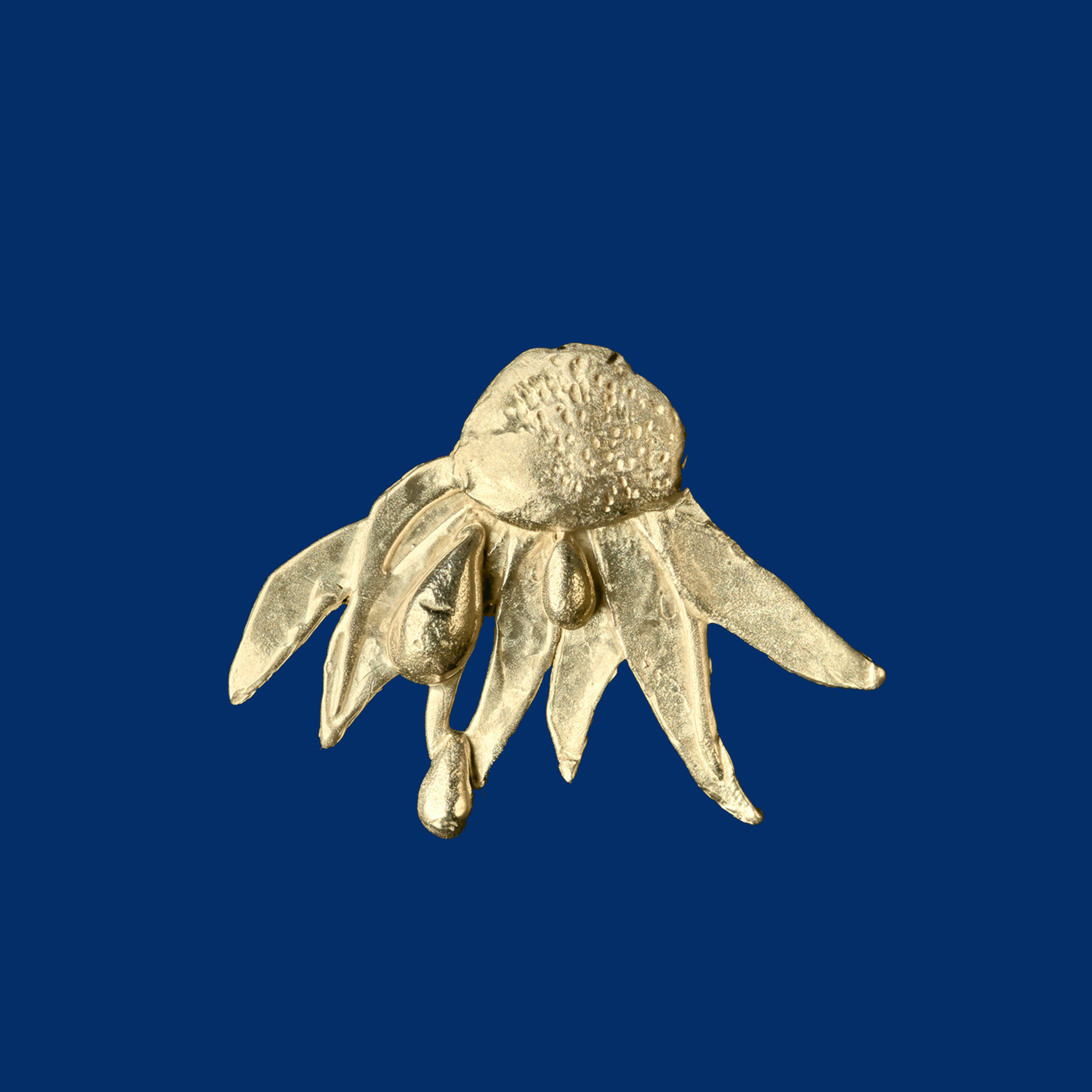 Wilting Daisy, Edition 20, $250