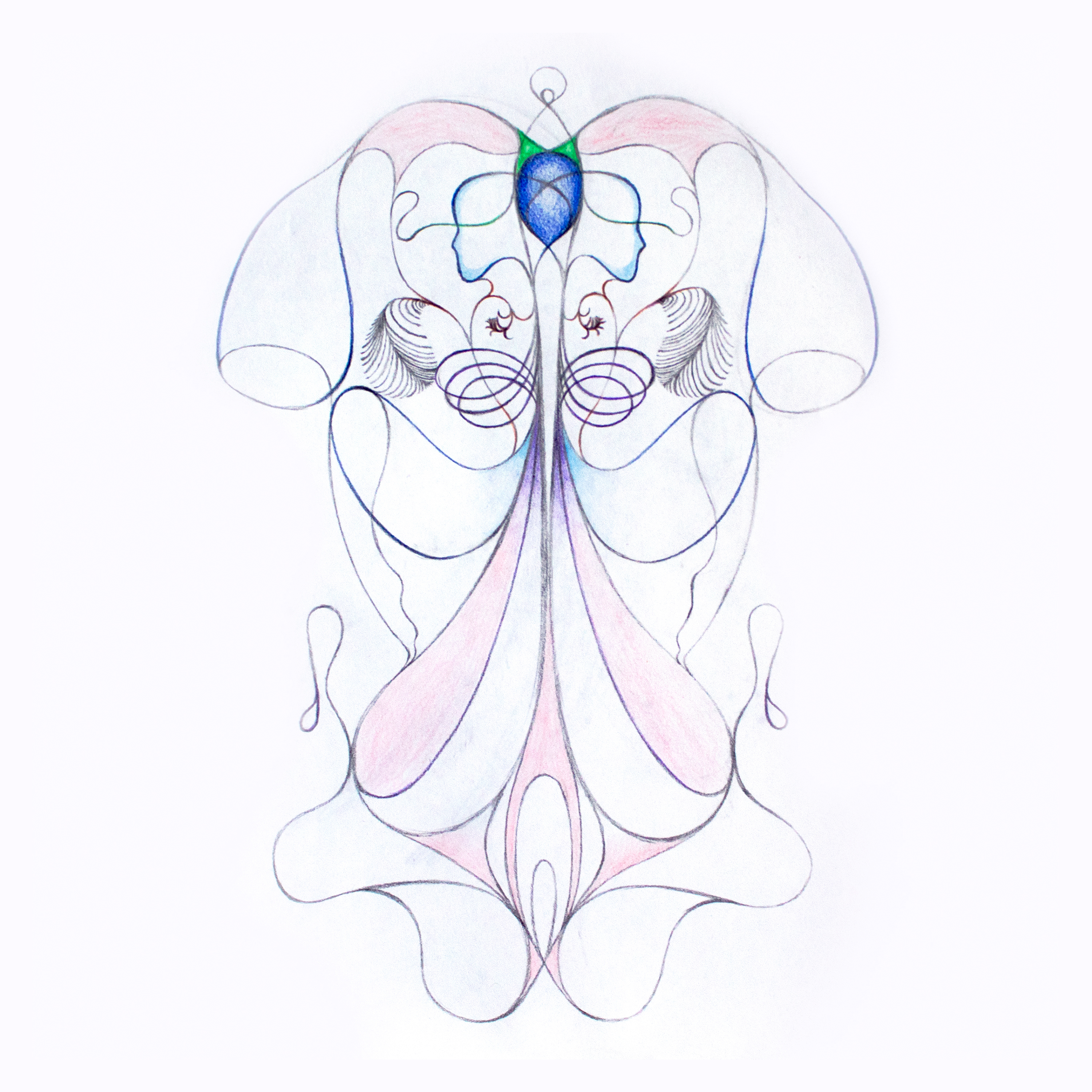 Squid (8.5"x11", colored pencil & graphite on paper)