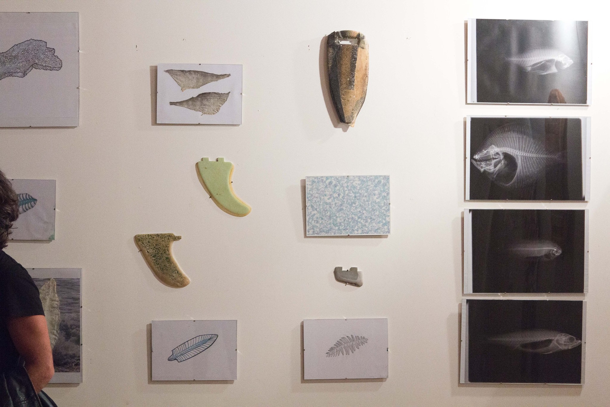 «West is the best», Great Design Gallery, Paris, juin & Helder Supply, Biarritz.