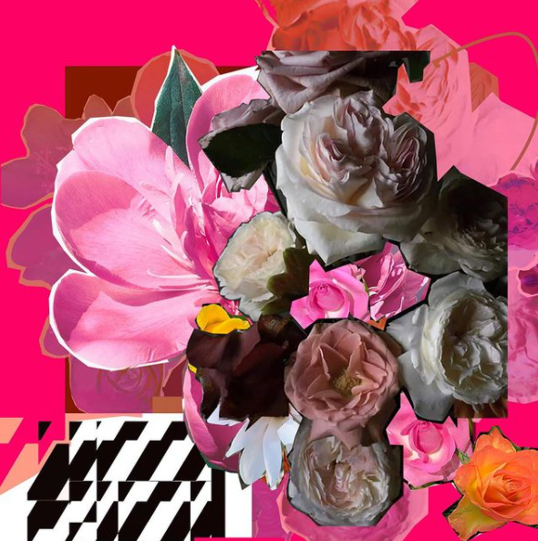 𝗧𝗼𝗺 𝗛𝗮𝗰𝗸