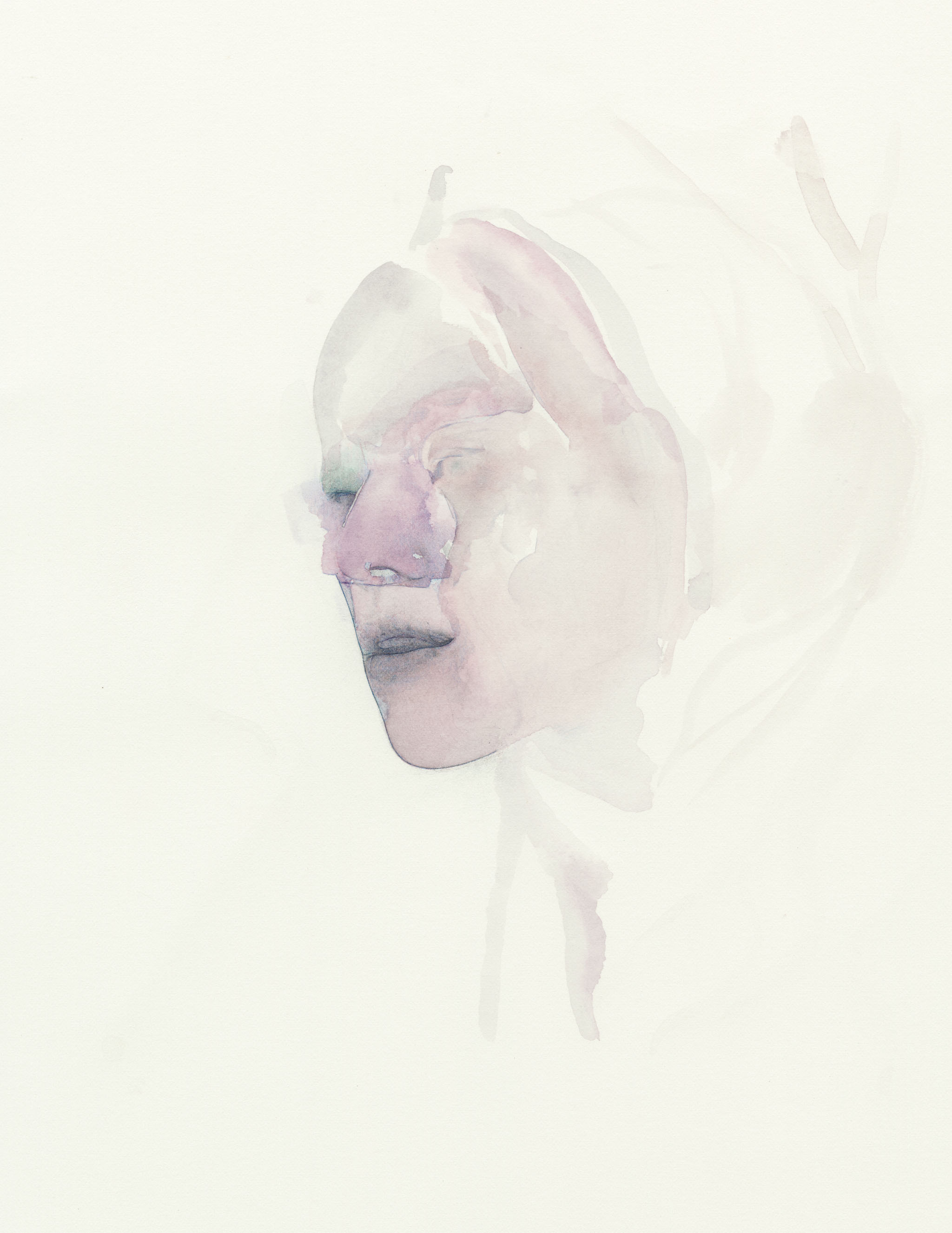 Joe 11x8.5 colored pencil, graphite and watercolor on paper 2016