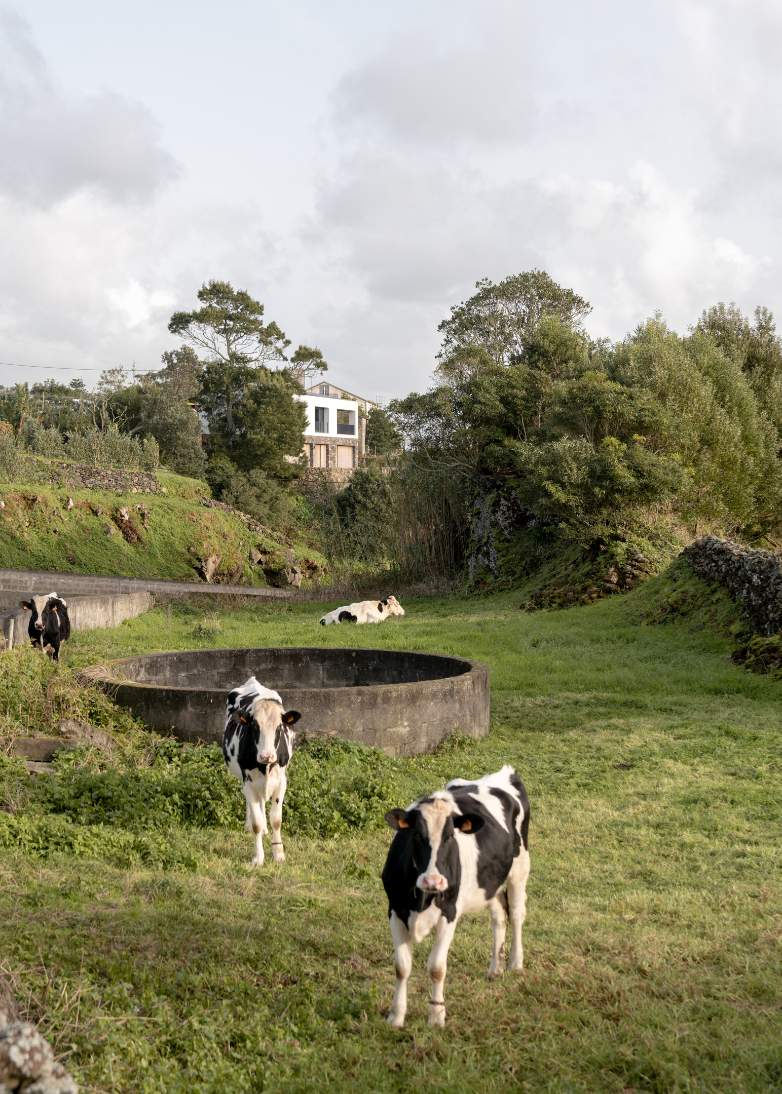 CASA LIVRAMENTO . MEZZO ATELIER . PONTA DELGADA