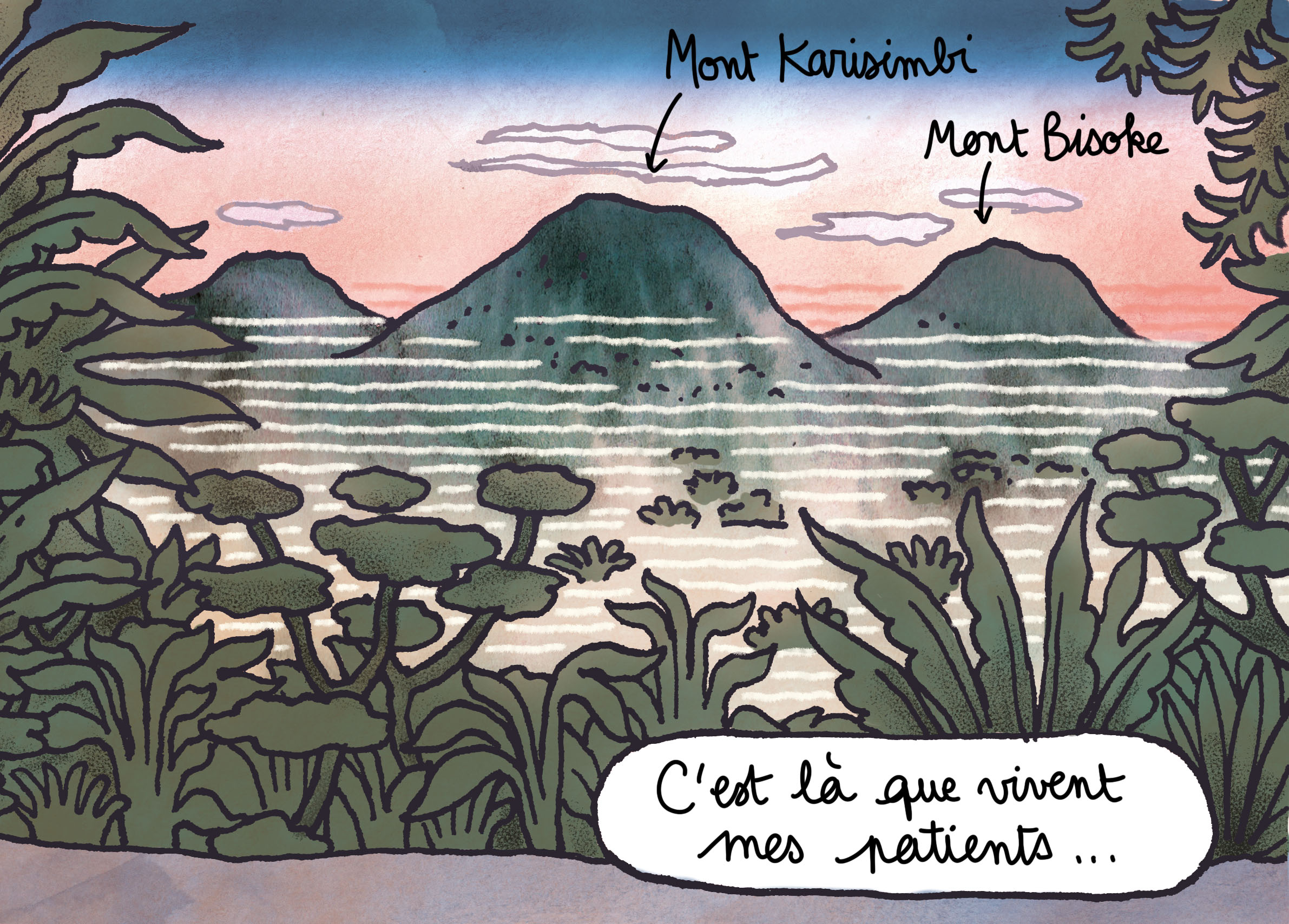 Gorilles dans la brume