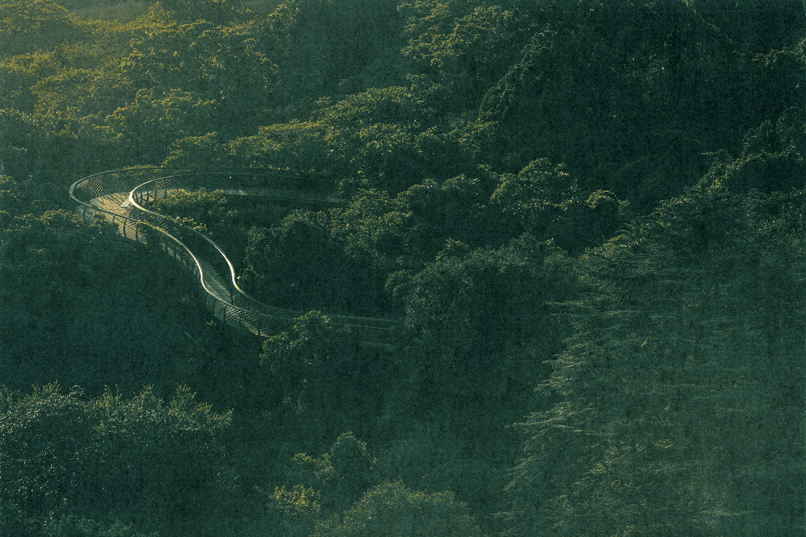 The Boomslang, Kirstenbosch