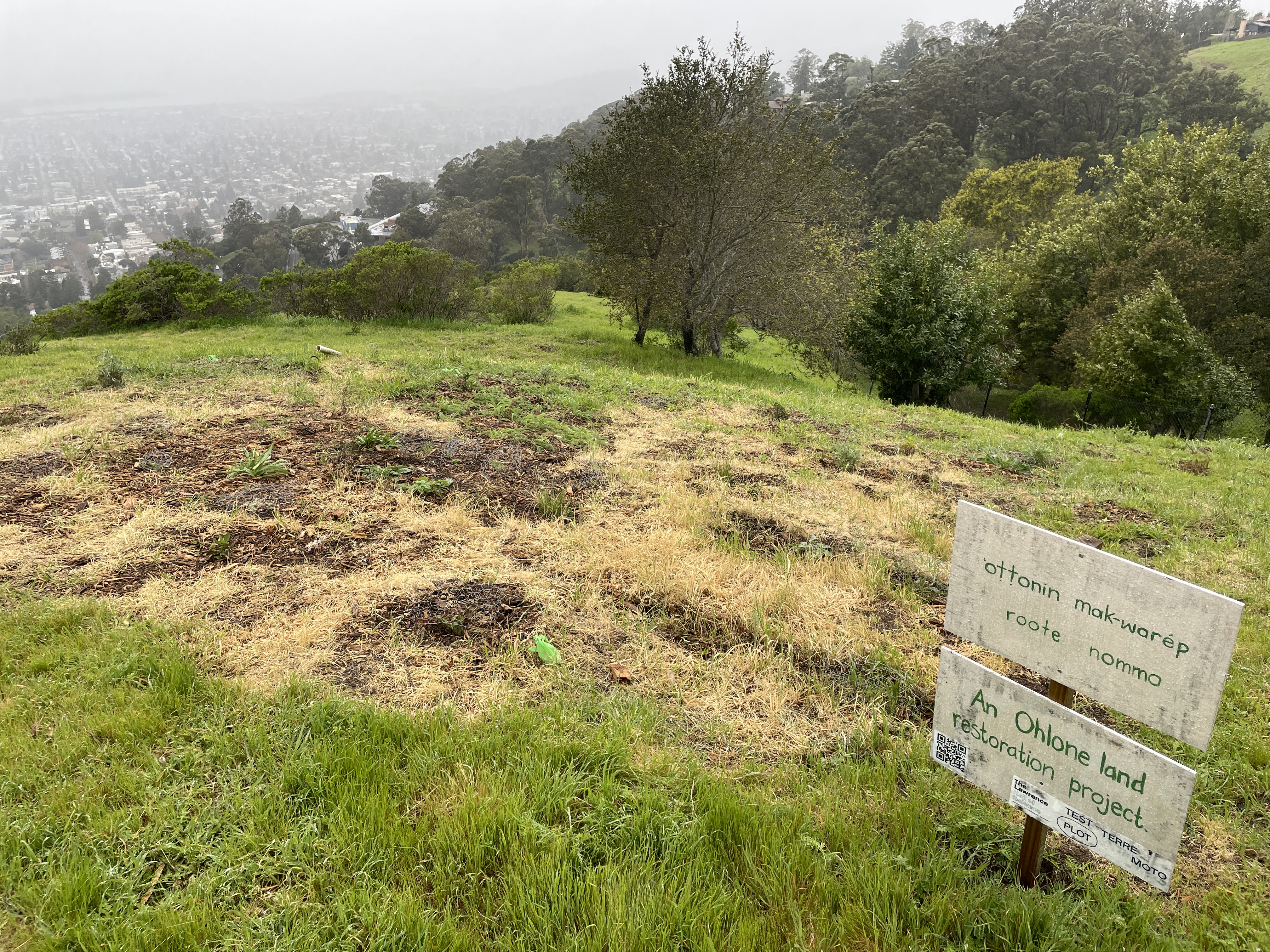 A few days later... yay! It worked!