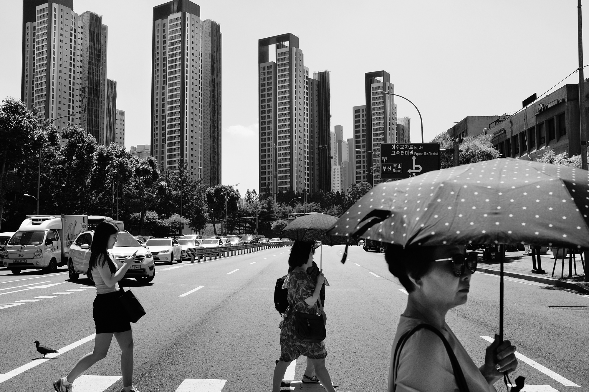 Philippe-Sarfati-early-work-photography-photographer-street-documentary-black-and-white-seoul-south-korea-street-repetition-towers-copy-paste-umbrella-sunshine-sunglasses-people-women-crossing-street-bird-pigeon