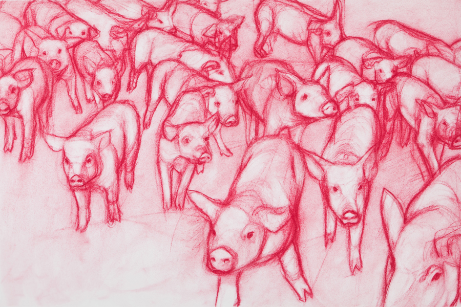 Swine, Chalk pastel on paper, 18 x 28, 2010