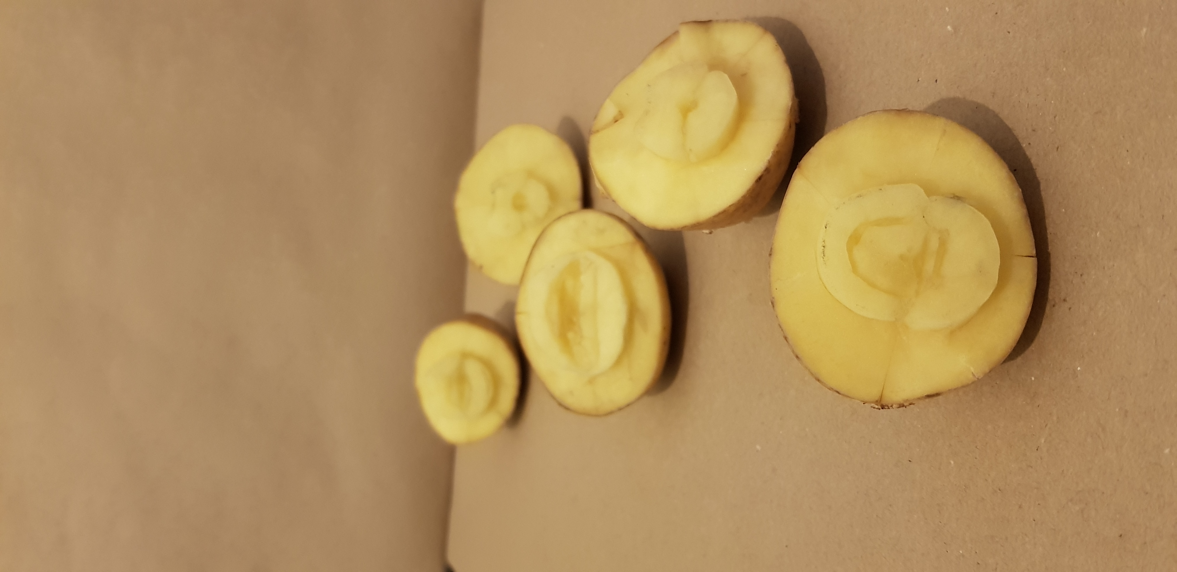 potato printers phonetically spelling out 'hello world'