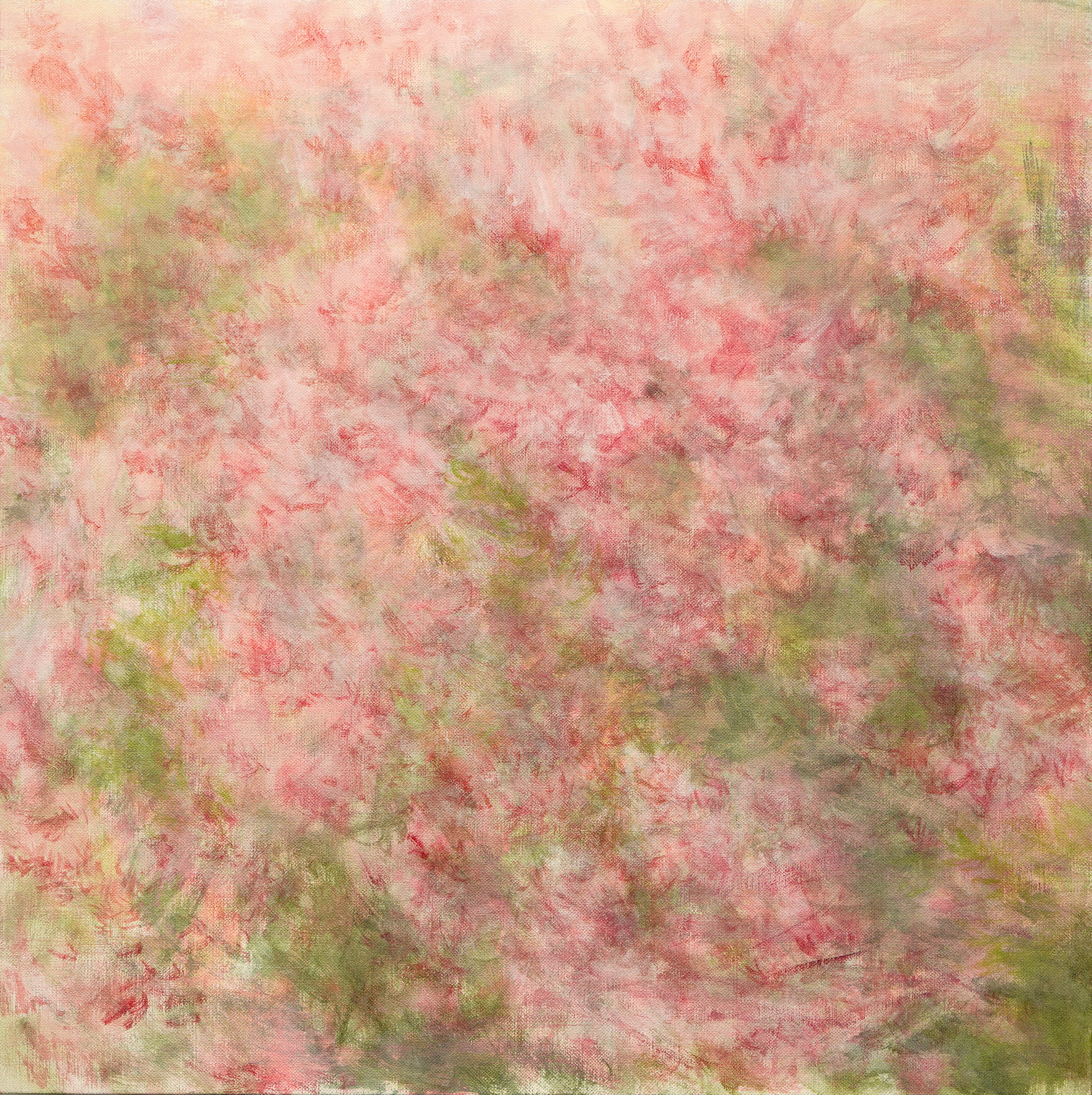 沮喪的花 Sorrowful Flower, 60×60cm, Acrylic on canvas, 2024