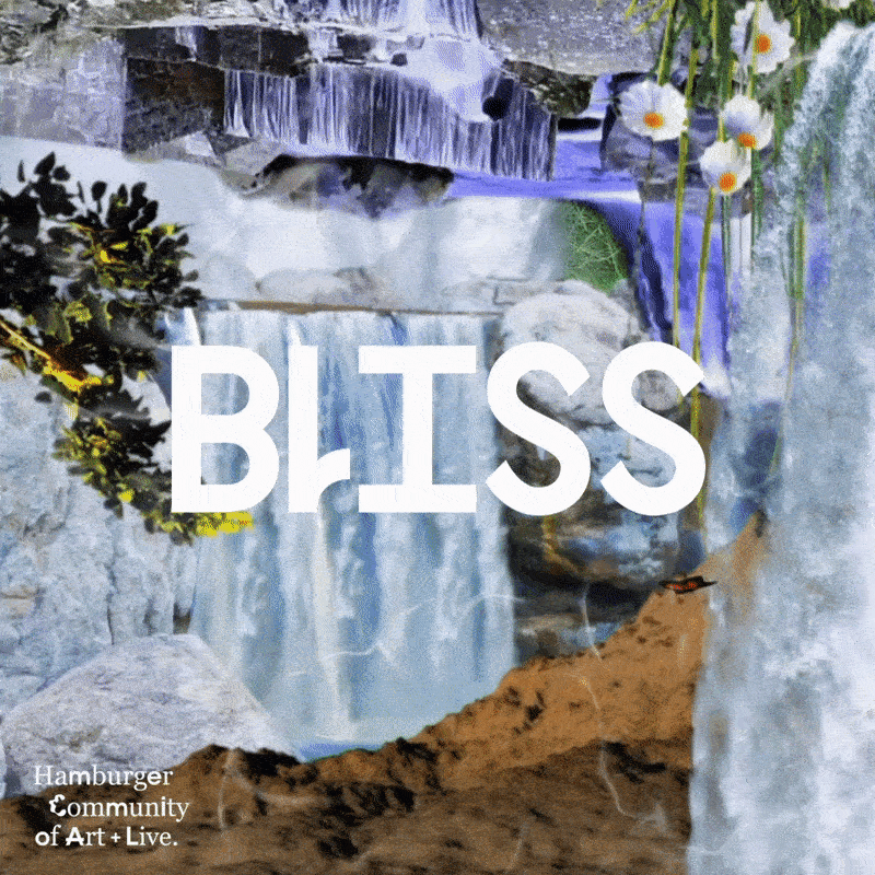 Solo exhibition: Bliss by Gill Baldwin