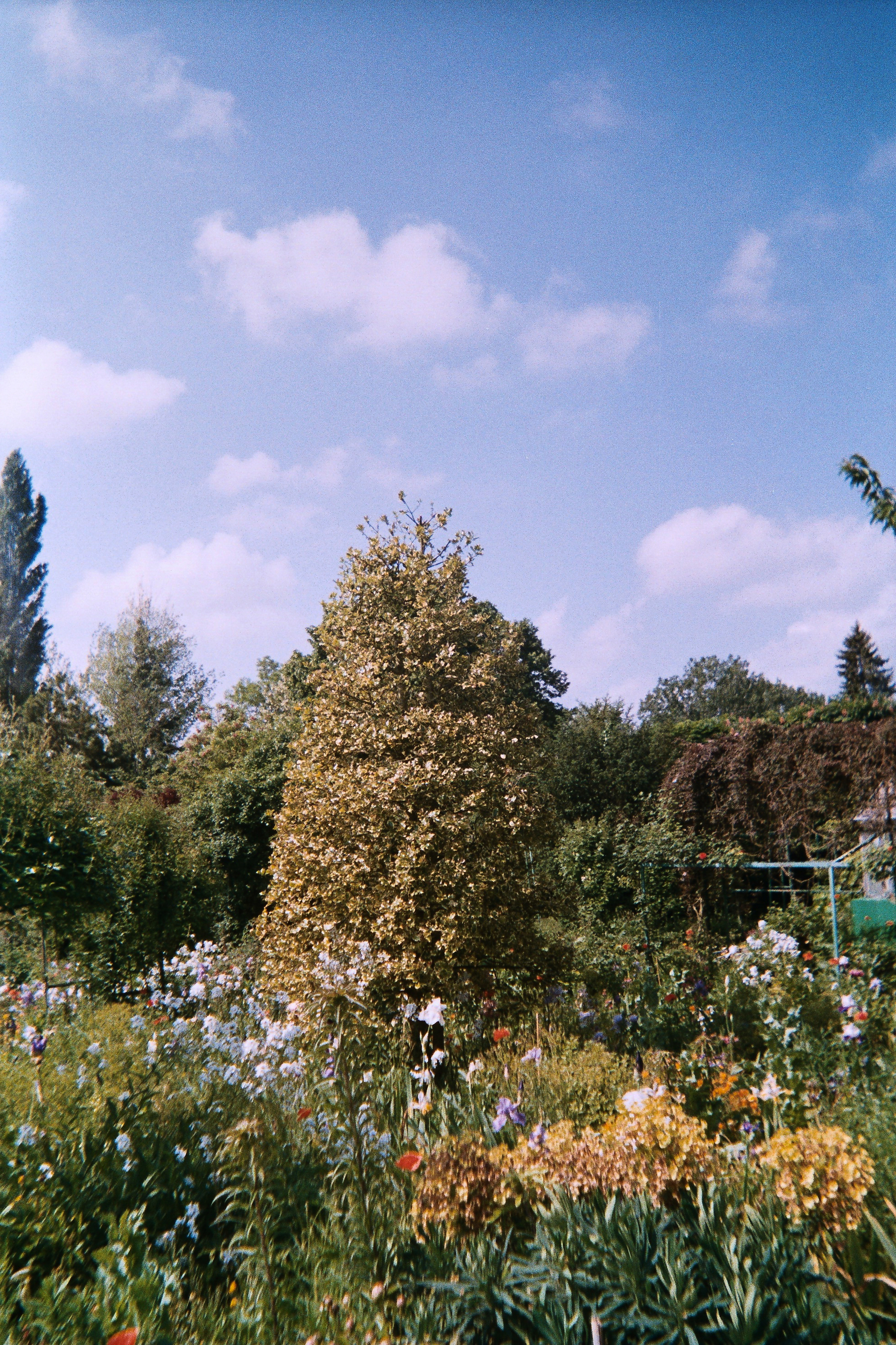 Monet’s Garden, Giverny, France, 2016