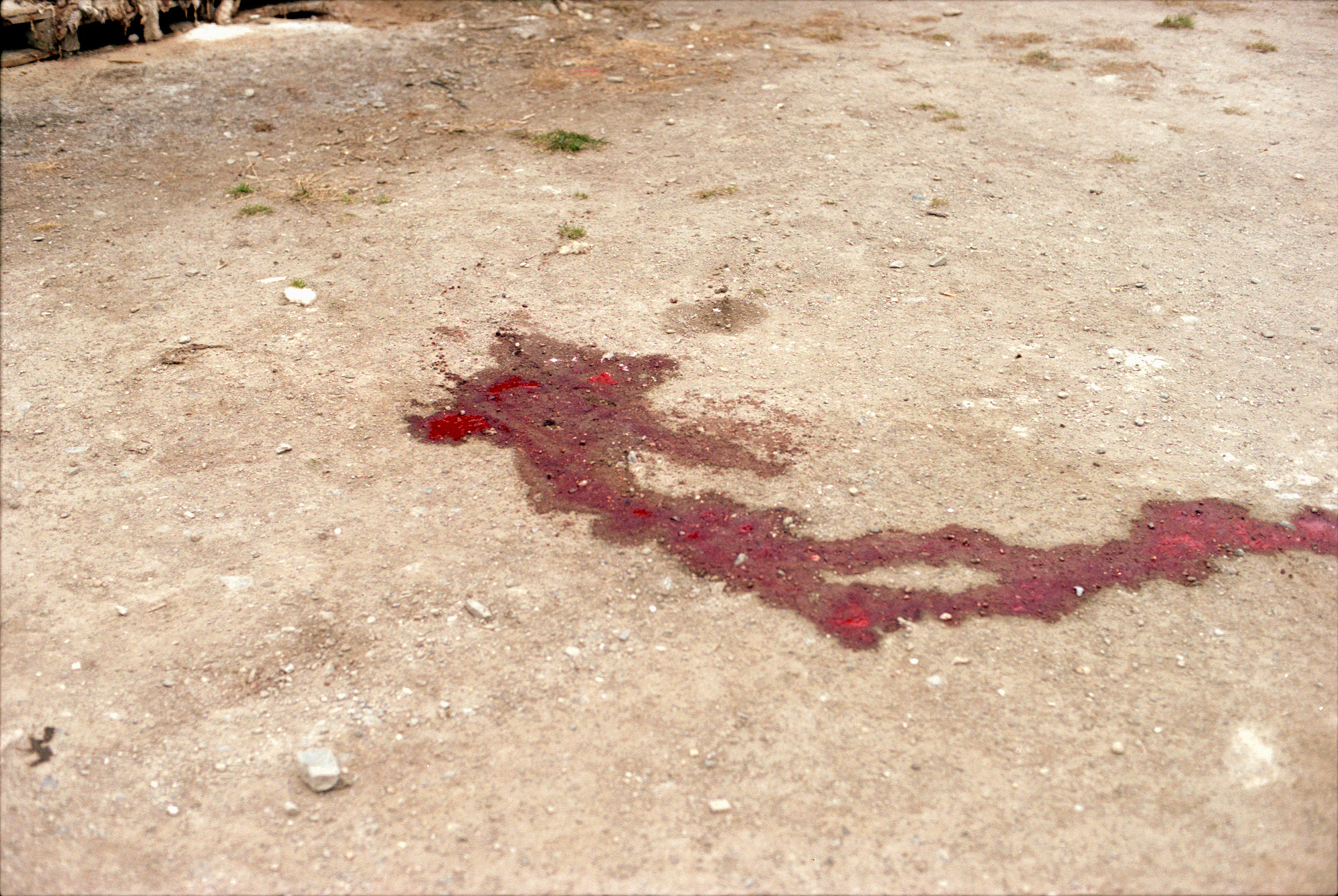 3/4Hawea, 2004 (041019_030)