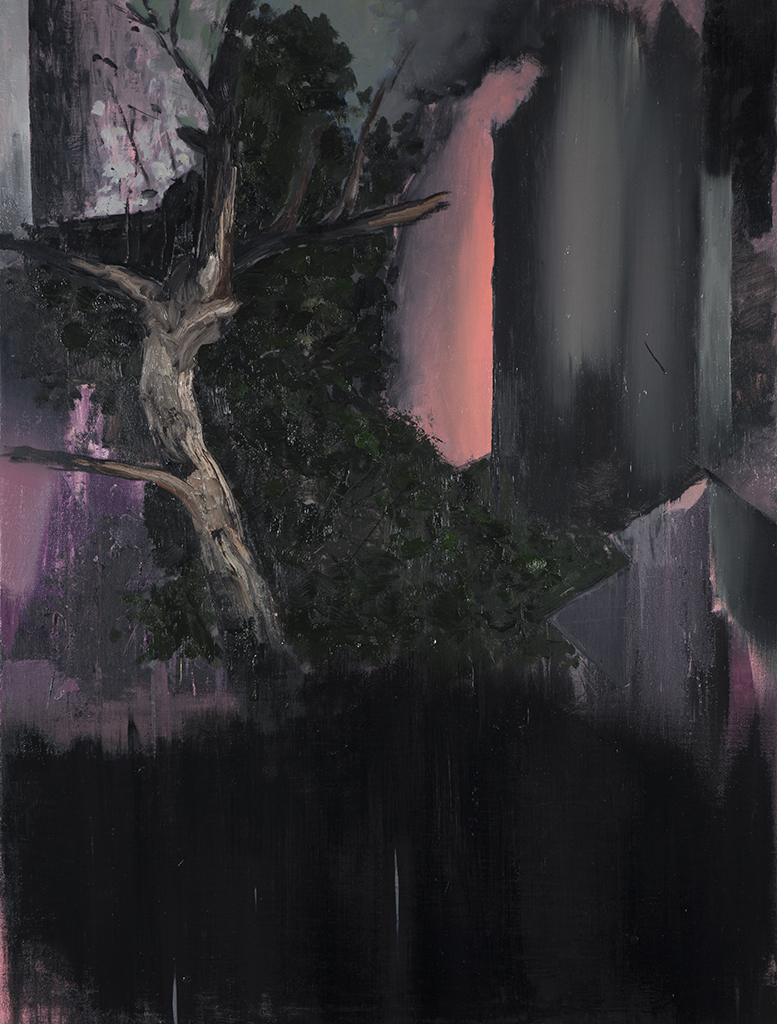 untitled. 116 x 86 cm. oil and acrylic on linen. 2017 - 2/12