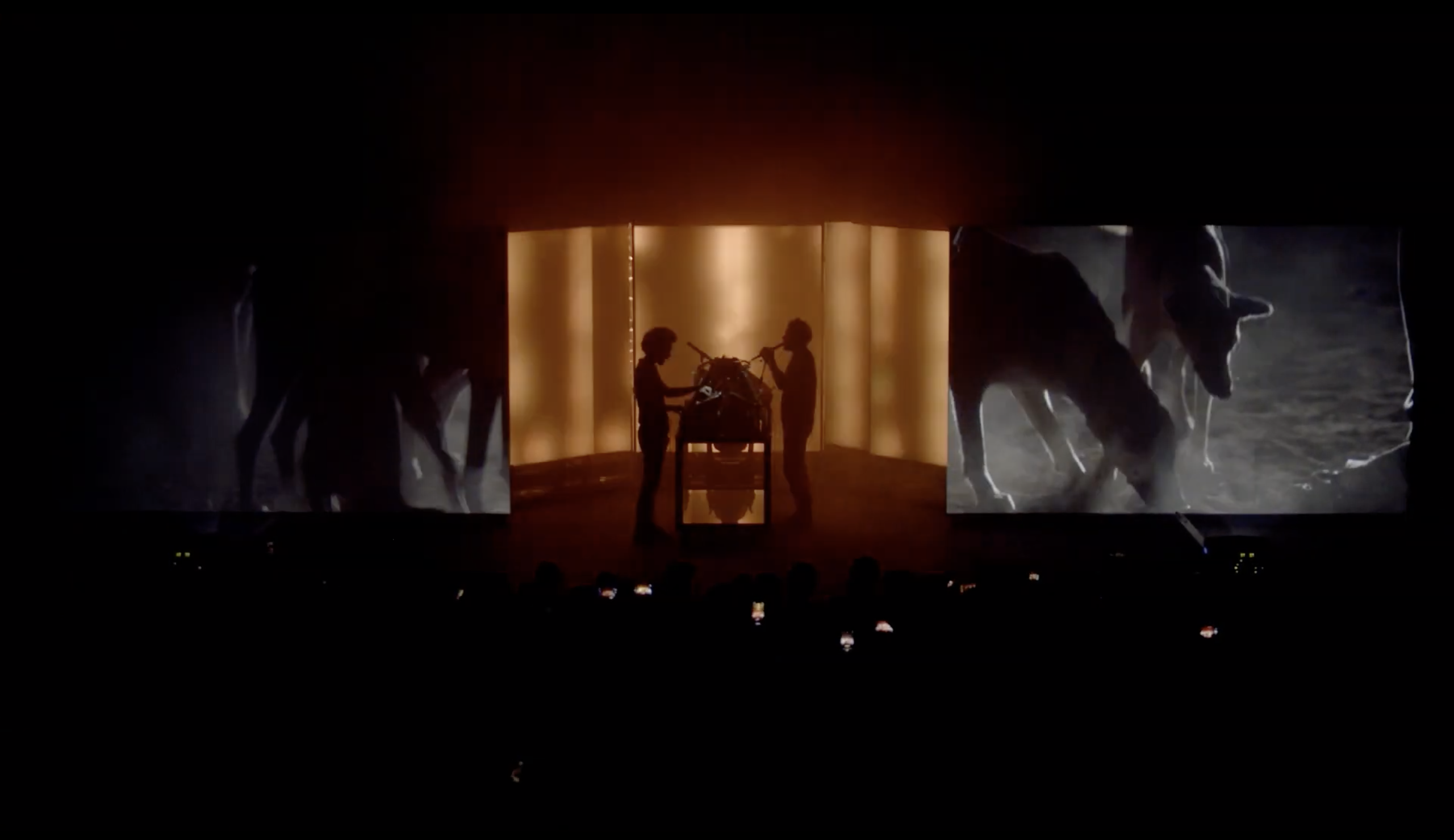 THE BLAZE, RUNAWAY-Video clip by LAURA HENNO directed for THE BLAZE TOUR 2018-2019 ©️ LAURA HENNO-THE BLAZE-Animal 63