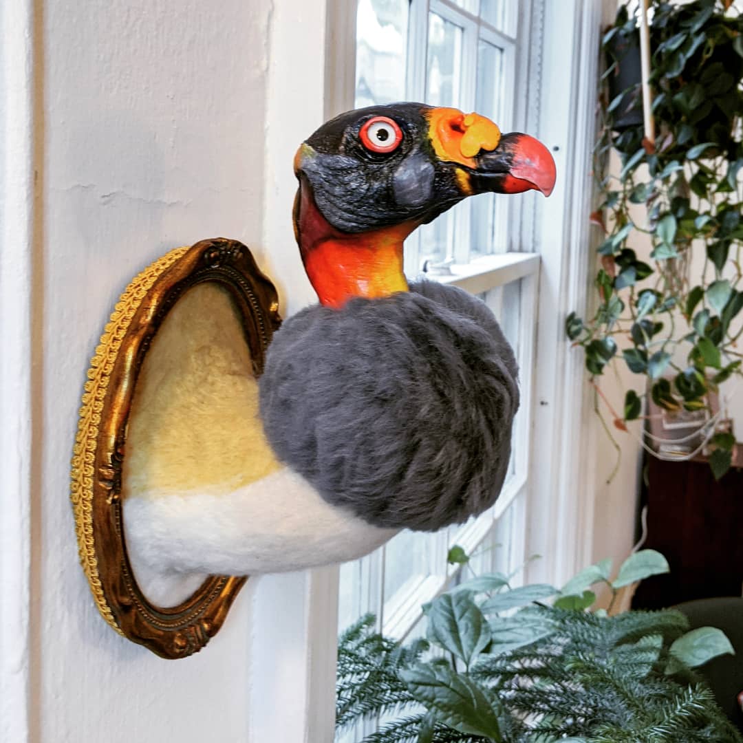 King VultureNeedle felted wool faux taxidermy10"x12"2021SOLD
