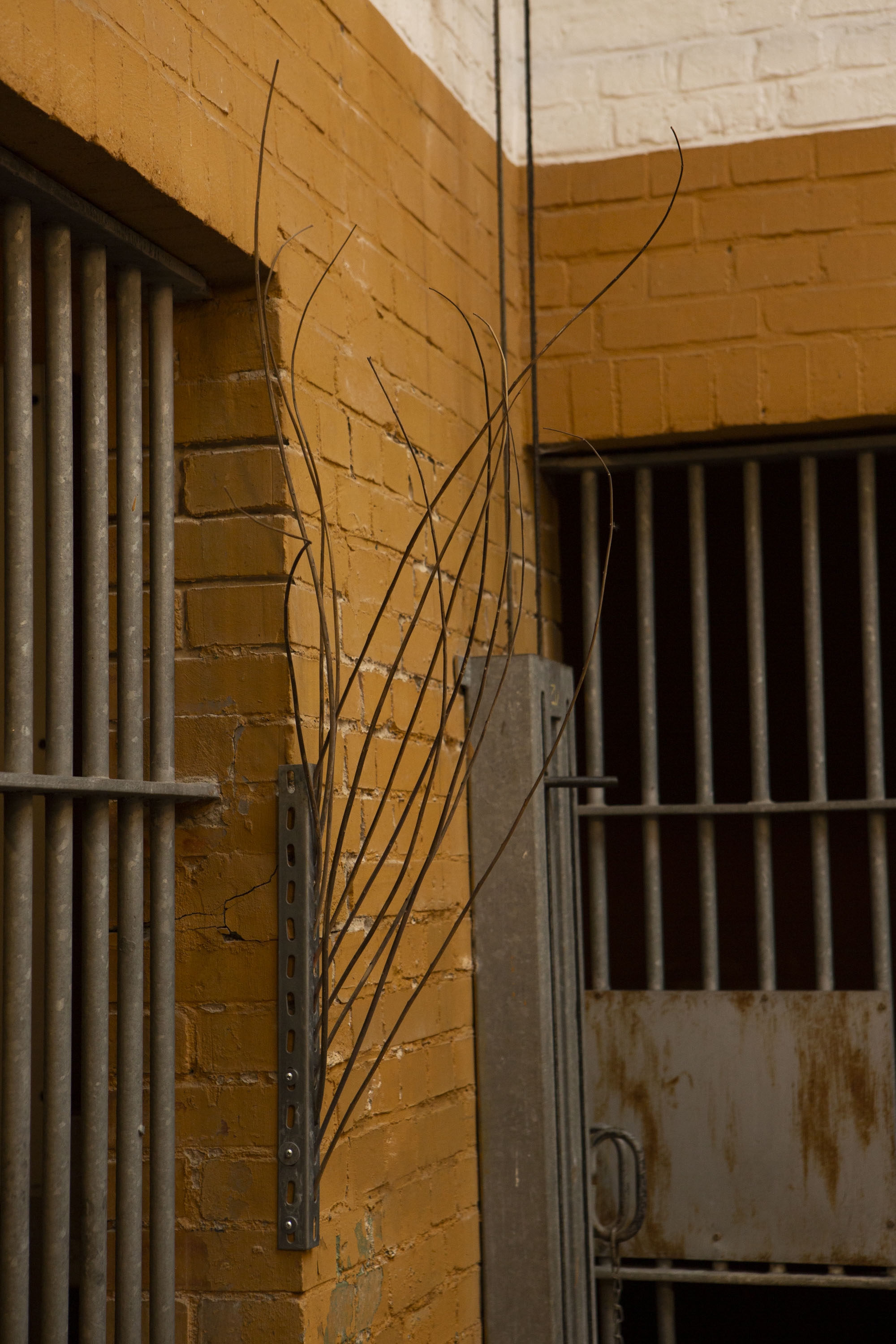 Andrea Acosta - Residual Germinations, 2023, Image: Juan Saez, B&auml;renzwinger Berlin (2023)