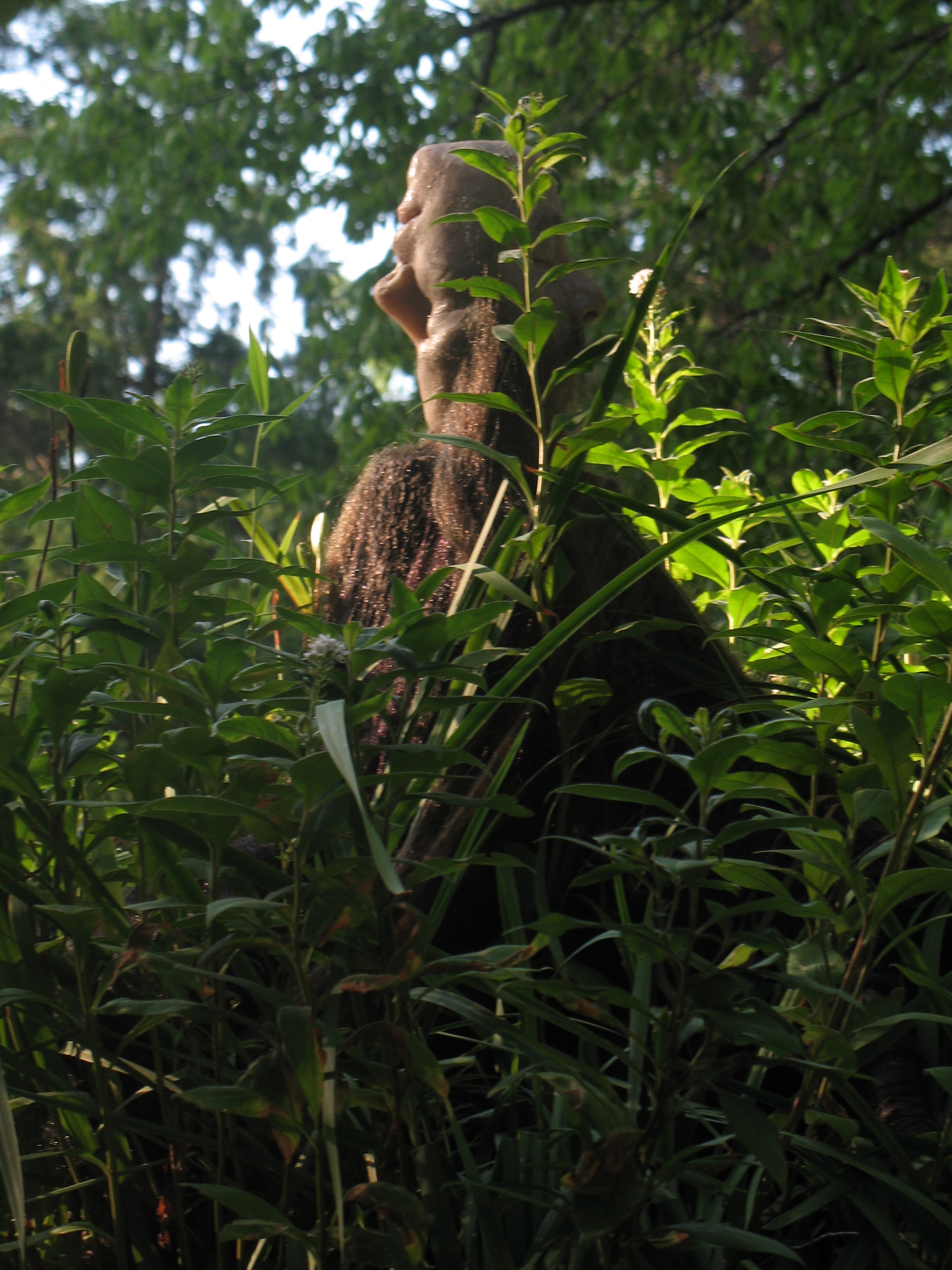 Mother & Father, 2011